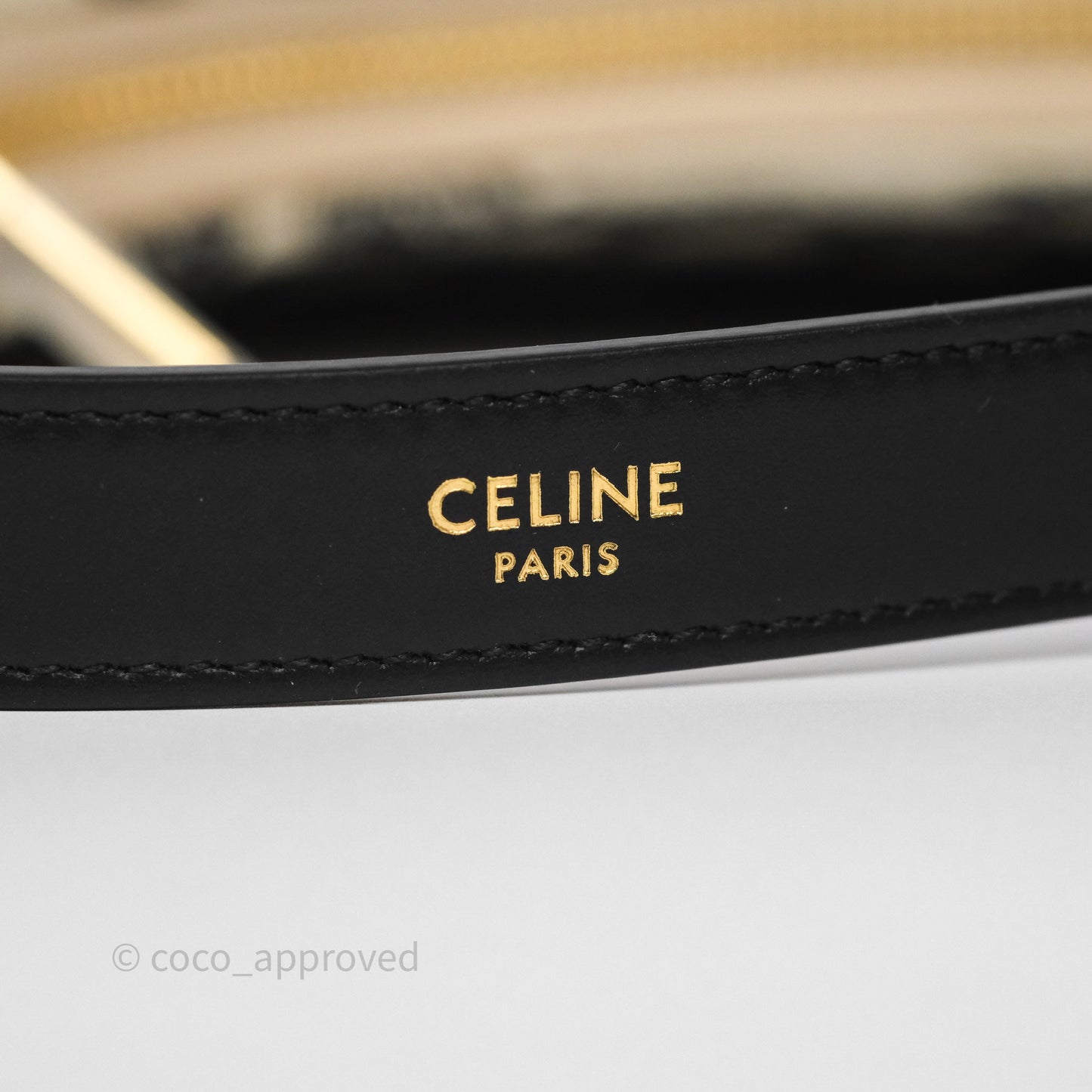 Celine Medium Ava Bag Triomphe Embroidered Black Natural