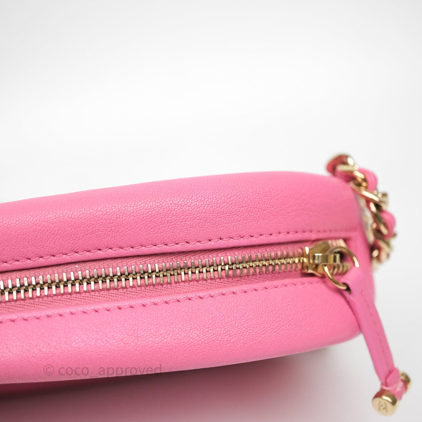 Chanel Camera Bag Pink Calfskin Aged Gold Hardware