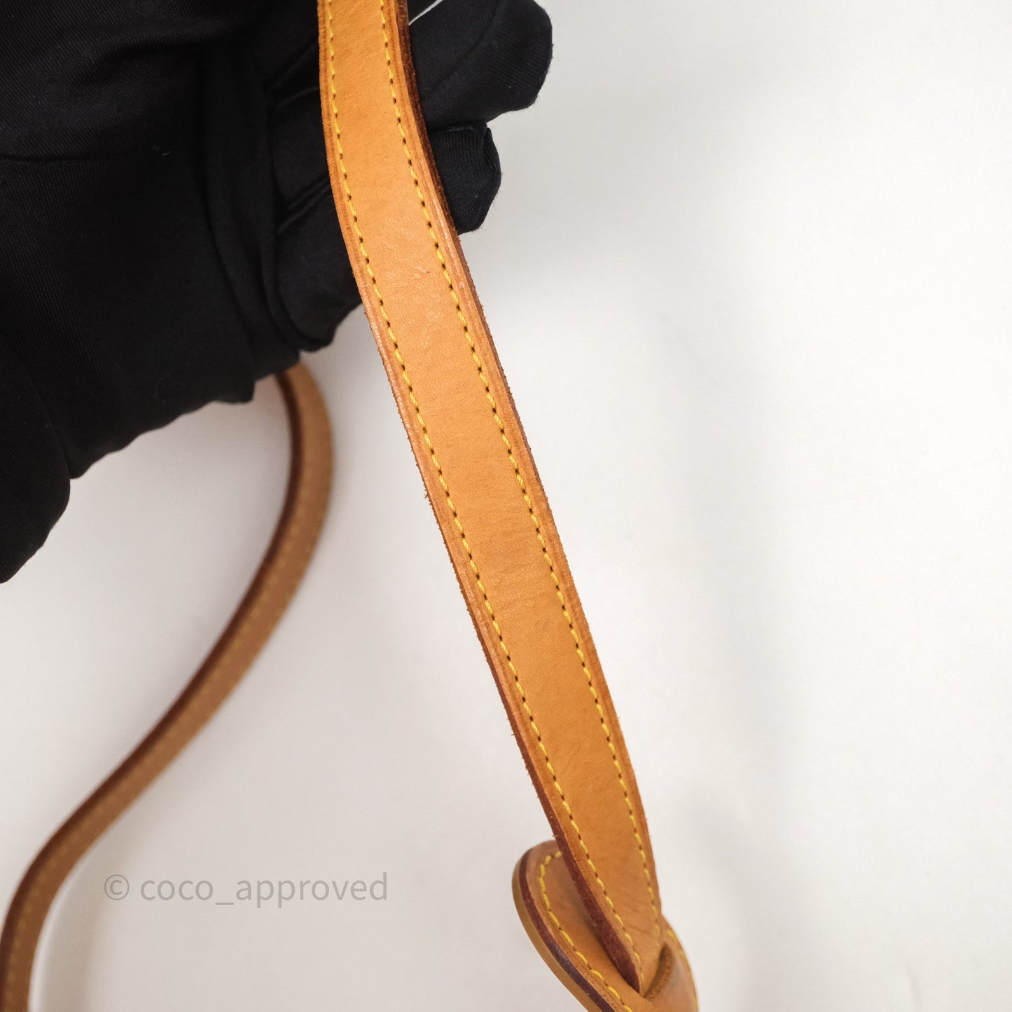 Louis Vuitton Vintage Diane Bag Monogram Canvas