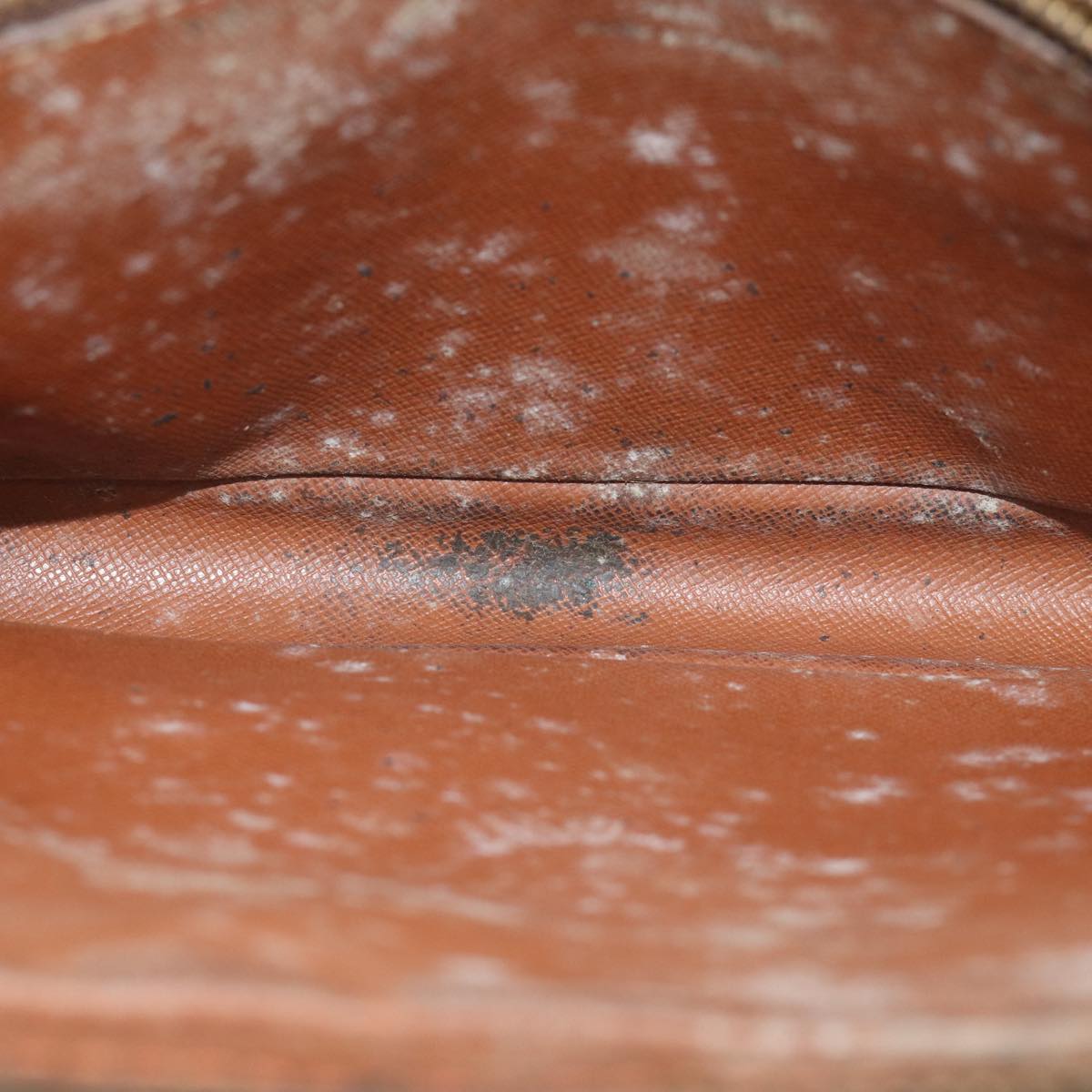 LOUIS VUITTON Monogram Marly Dragonne GM Clutch Bag M51825 LV 70476