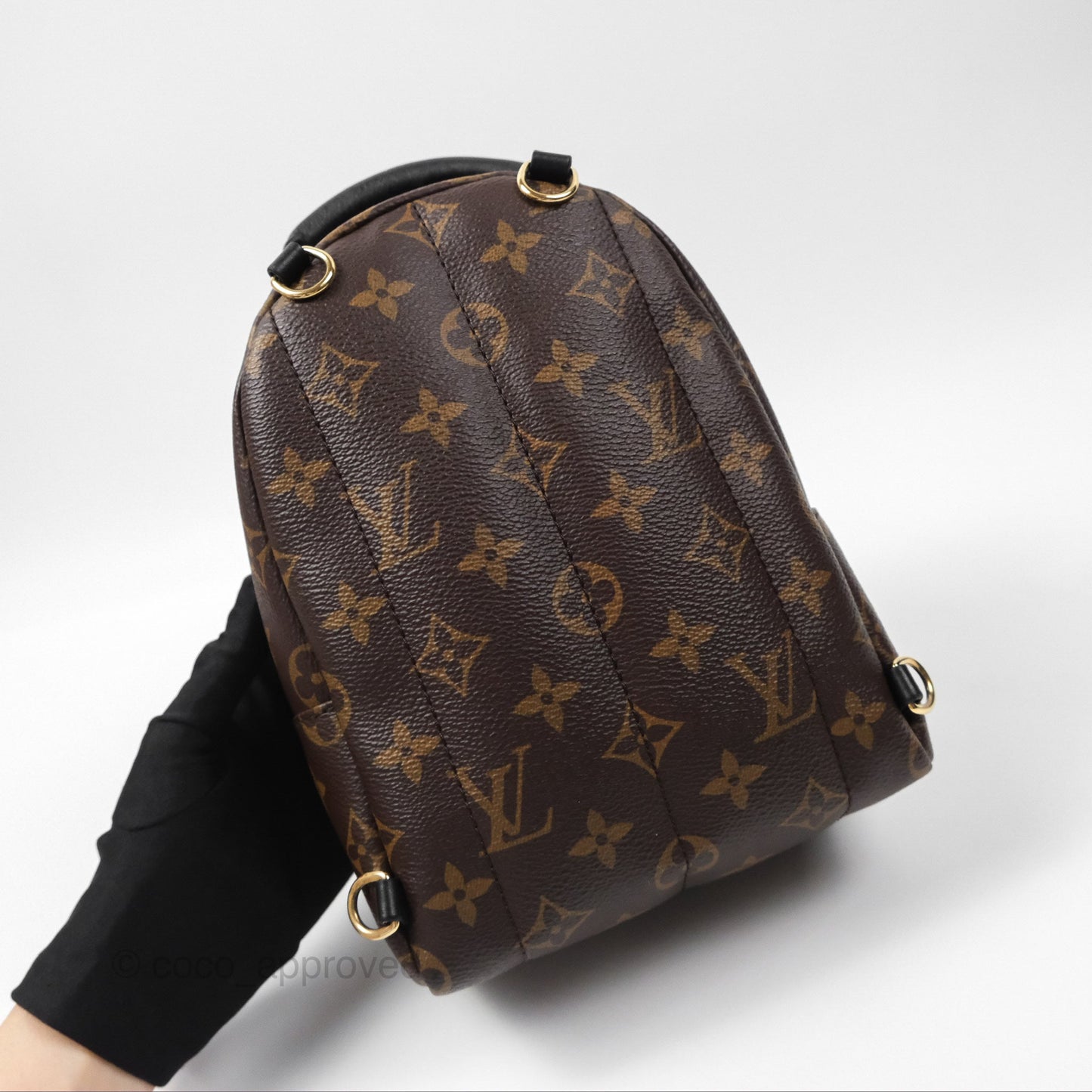 Louis Vuitton Monogram Mini Palm Springs Backpack⁣