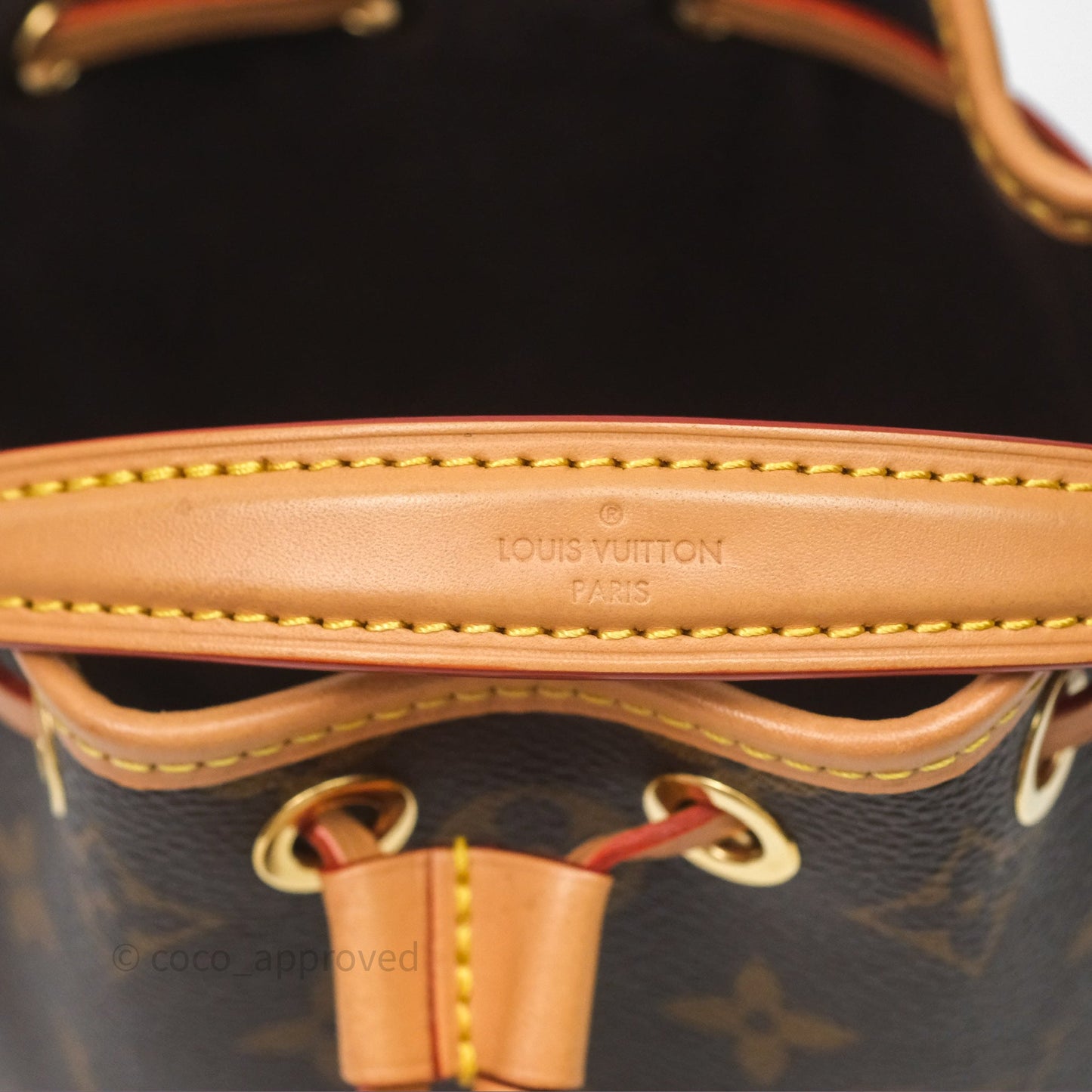 Louis Vuitton Nano Noe Monogram