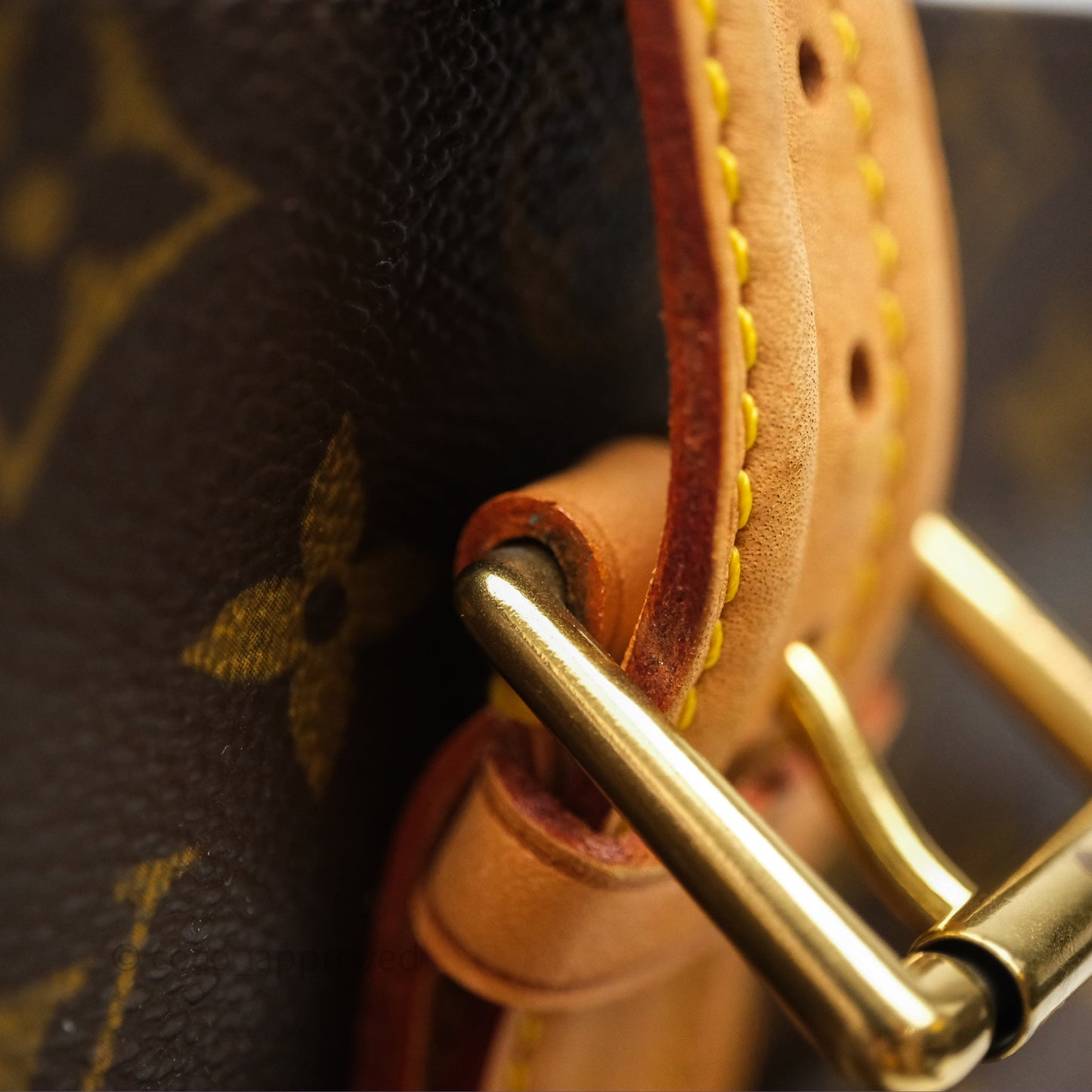 Louis Vuitton Multipli-Cite Tote Monogram Canvas