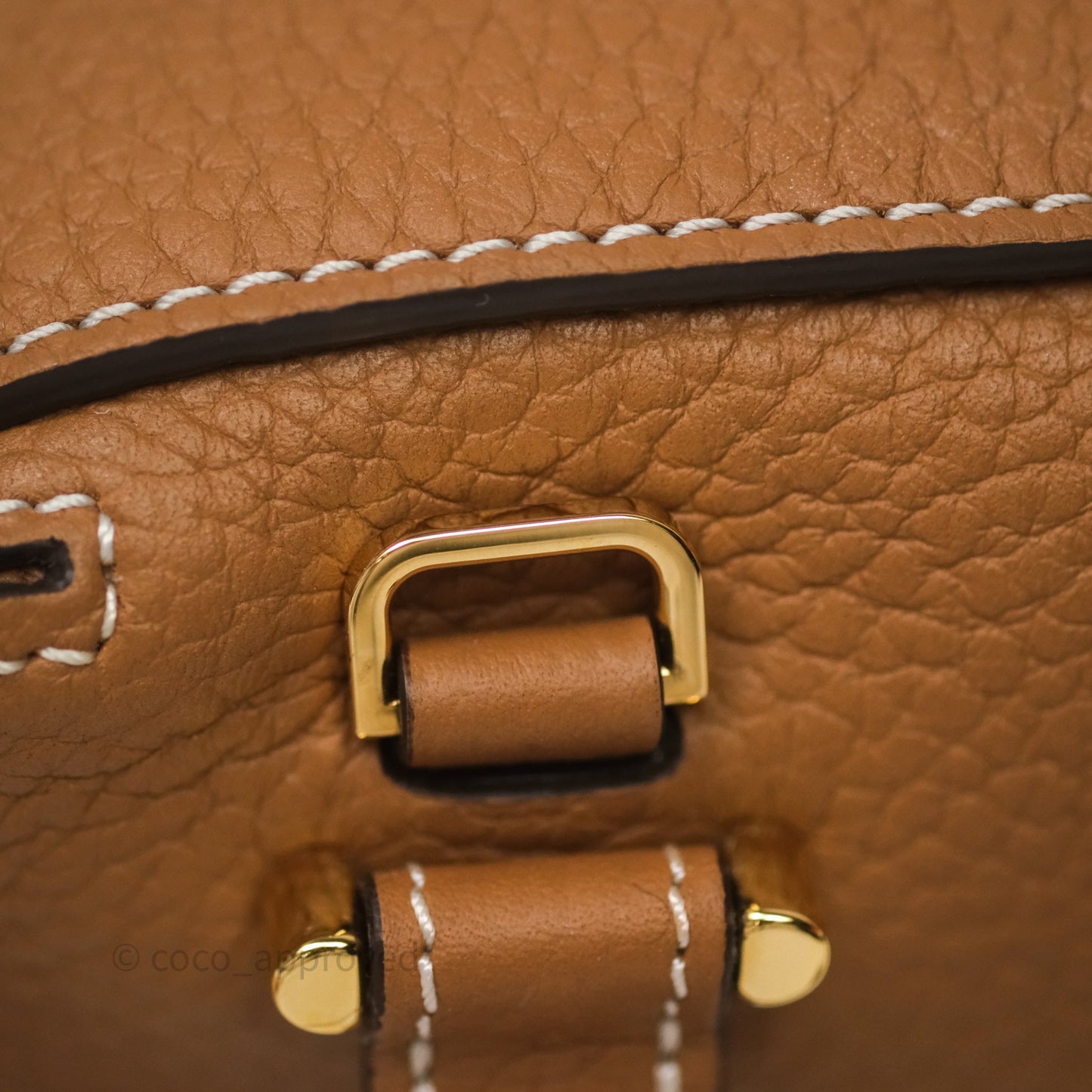 Delvaux Cool Box Nano Taurillon Soft Grained Calfskin Vegetal Ivory Gold Hardware