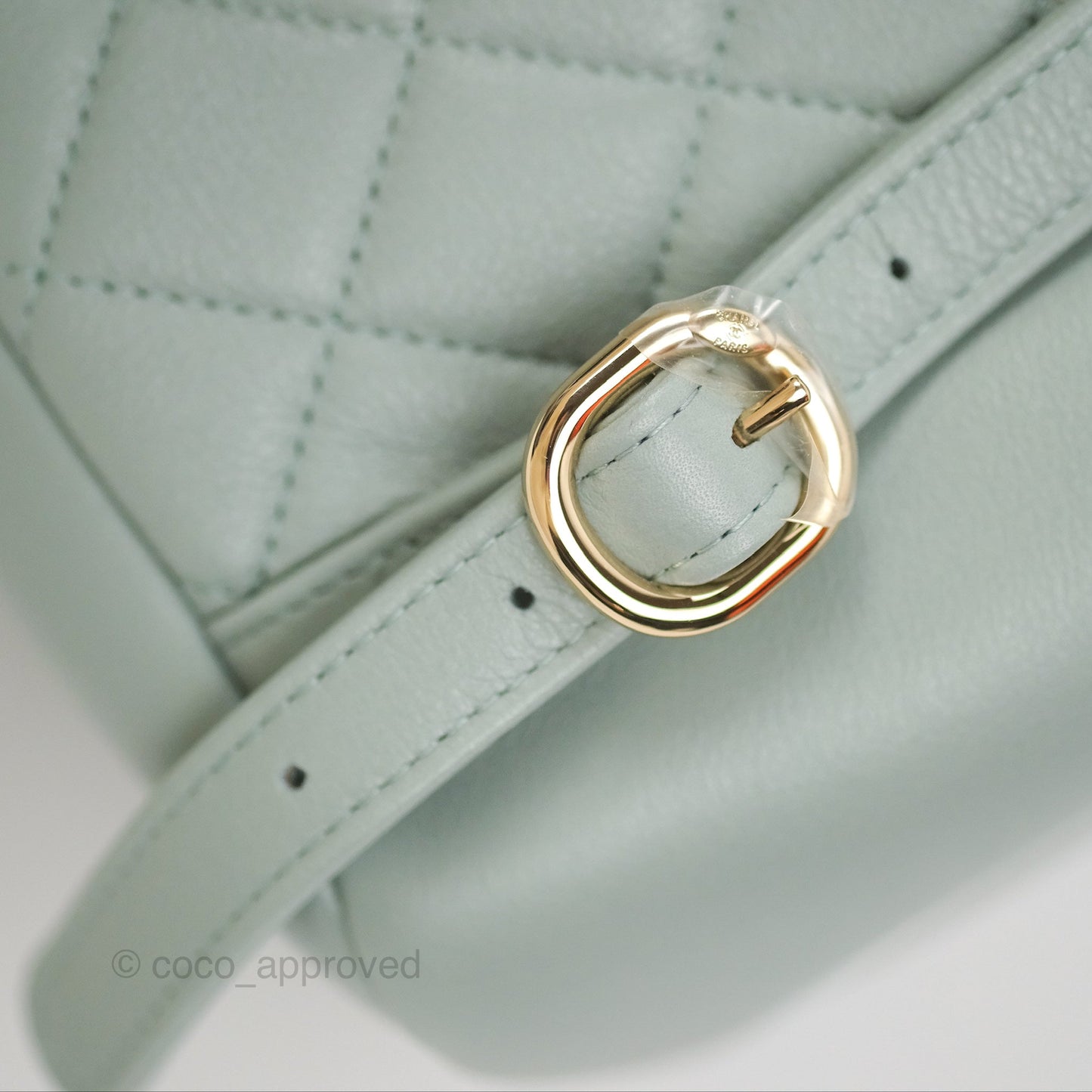 Chanel Quilted Large Duma Drawstring Backpack Tiffany Green Lambskin 23C