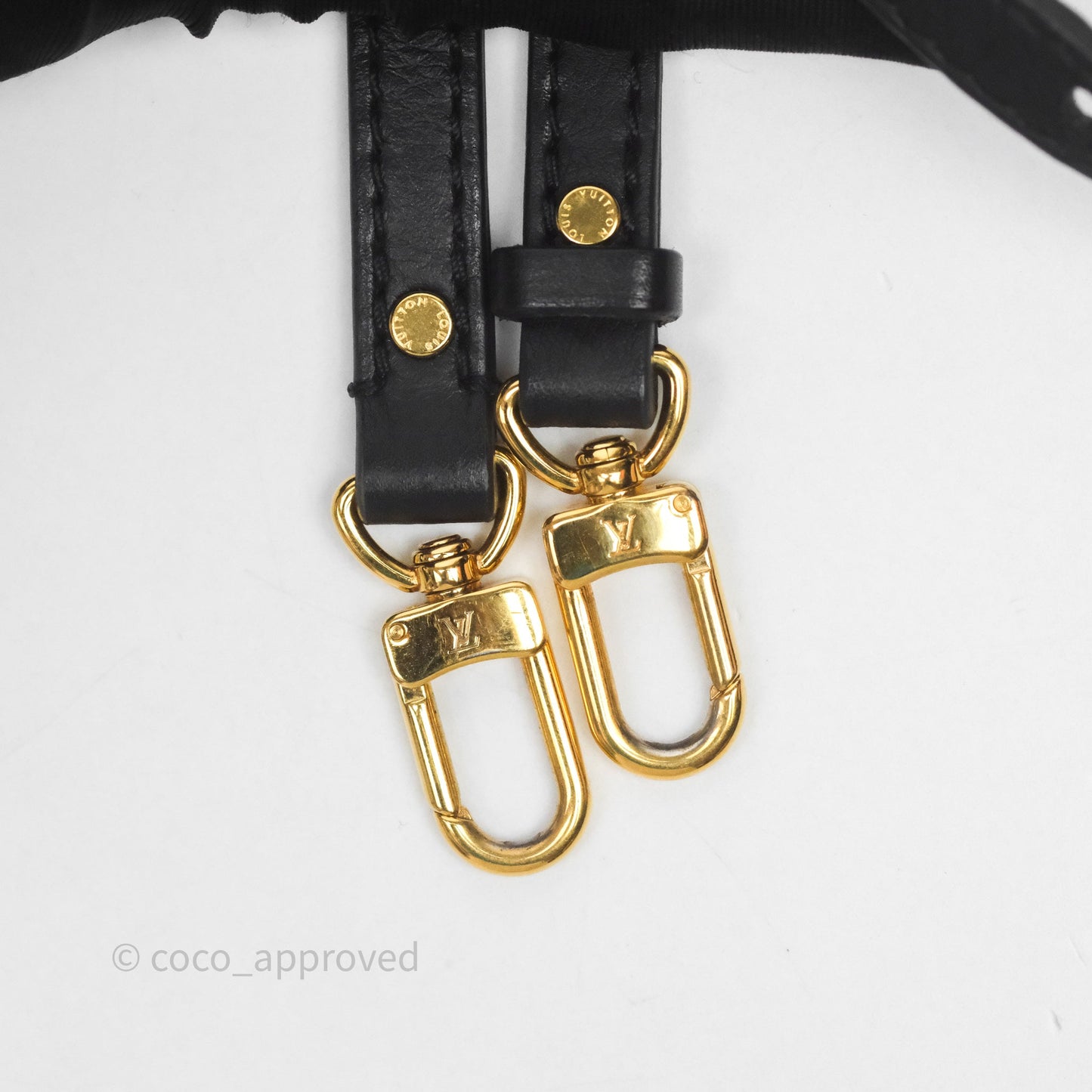 Louis Vuitton Mini Palm Springs Backpack⁣ Monogram