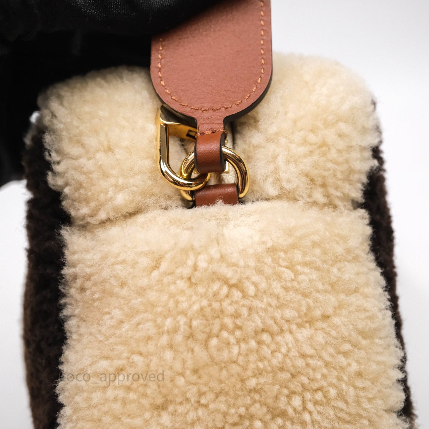Louis Vuitton Teddy Beach Pouch Monogram