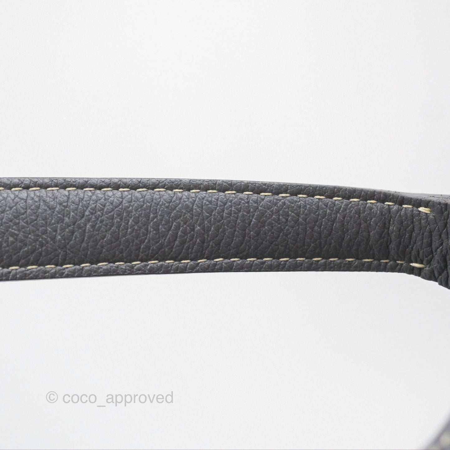 Goyard Bohème Hobo Bag Grey Goyardine Canvas