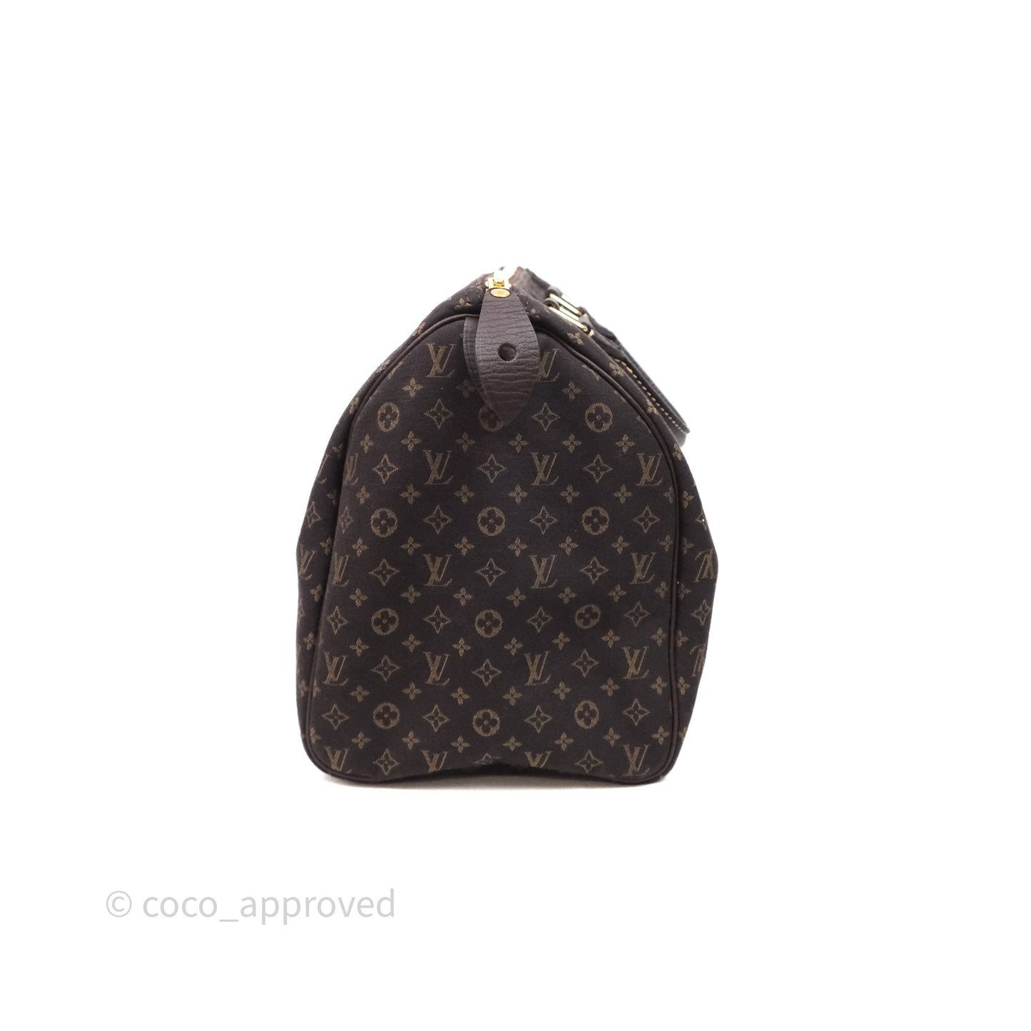 Louis Vuitton Speedy 30 Monogram Mini Lin