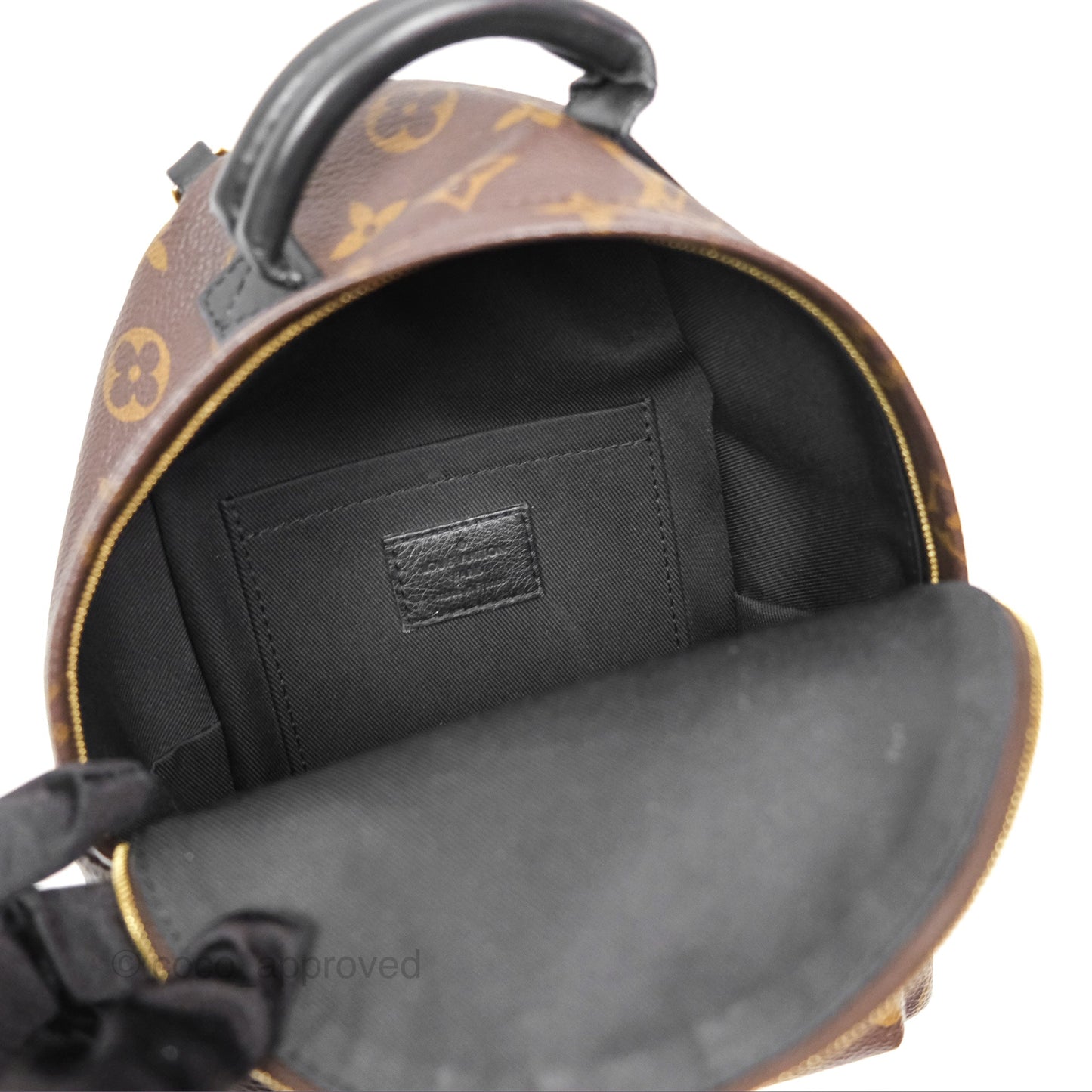 Louis Vuitton Mini Palm Springs Backpack⁣ Monogram