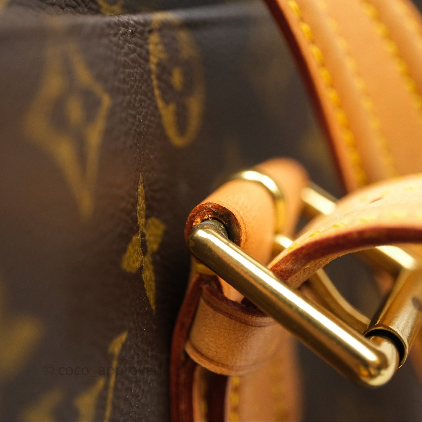 Louis Vuitton Multipli-Cite Tote Monogram Canvas