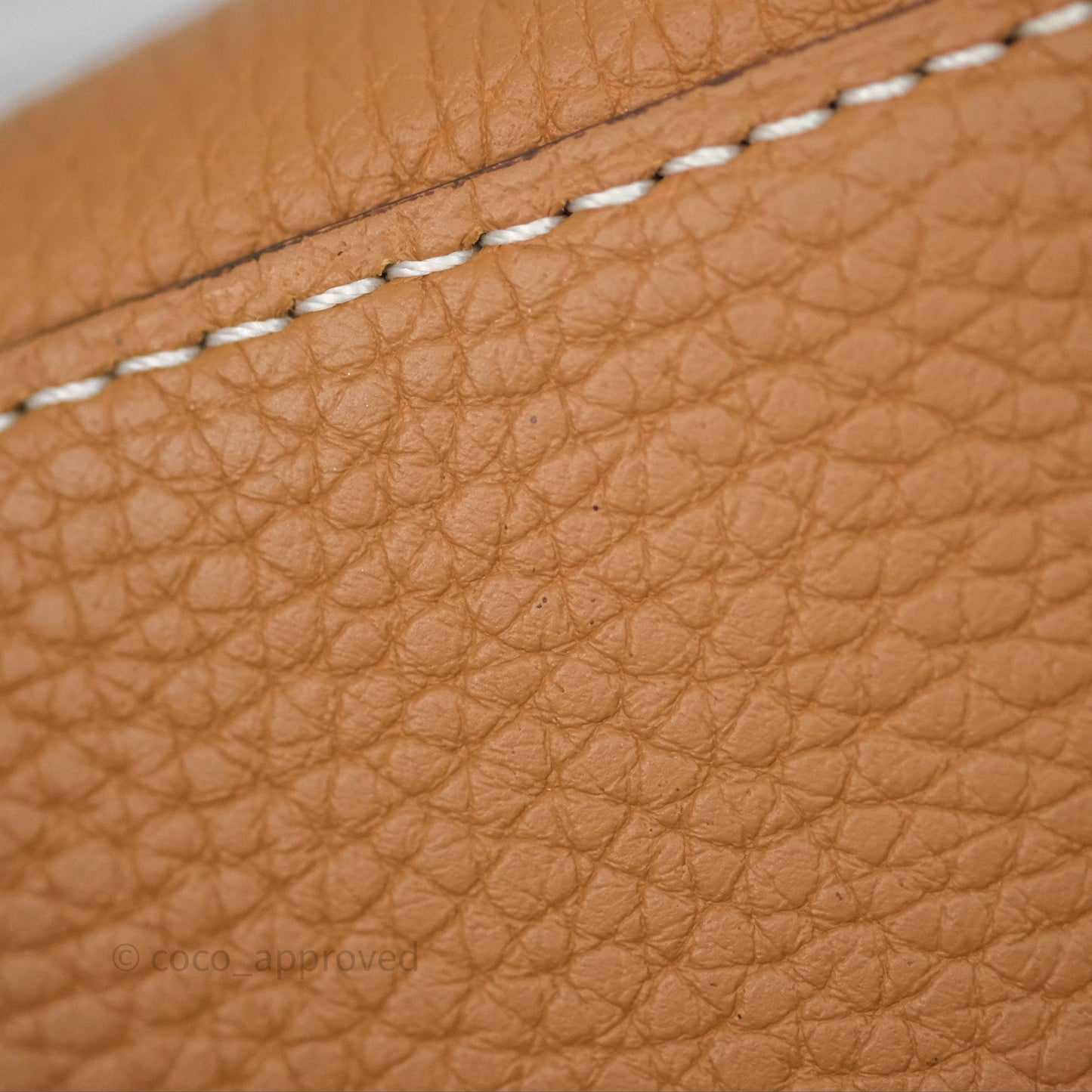 Delvaux Cool Box Nano Taurillon Soft Grained Calfskin Vegetal Ivory Gold Hardware