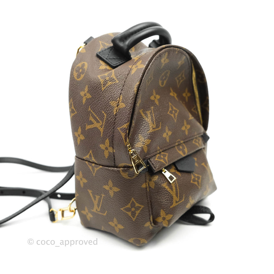 Louis Vuitton Mini Palm Springs Monogram Canvas Backpack⁣