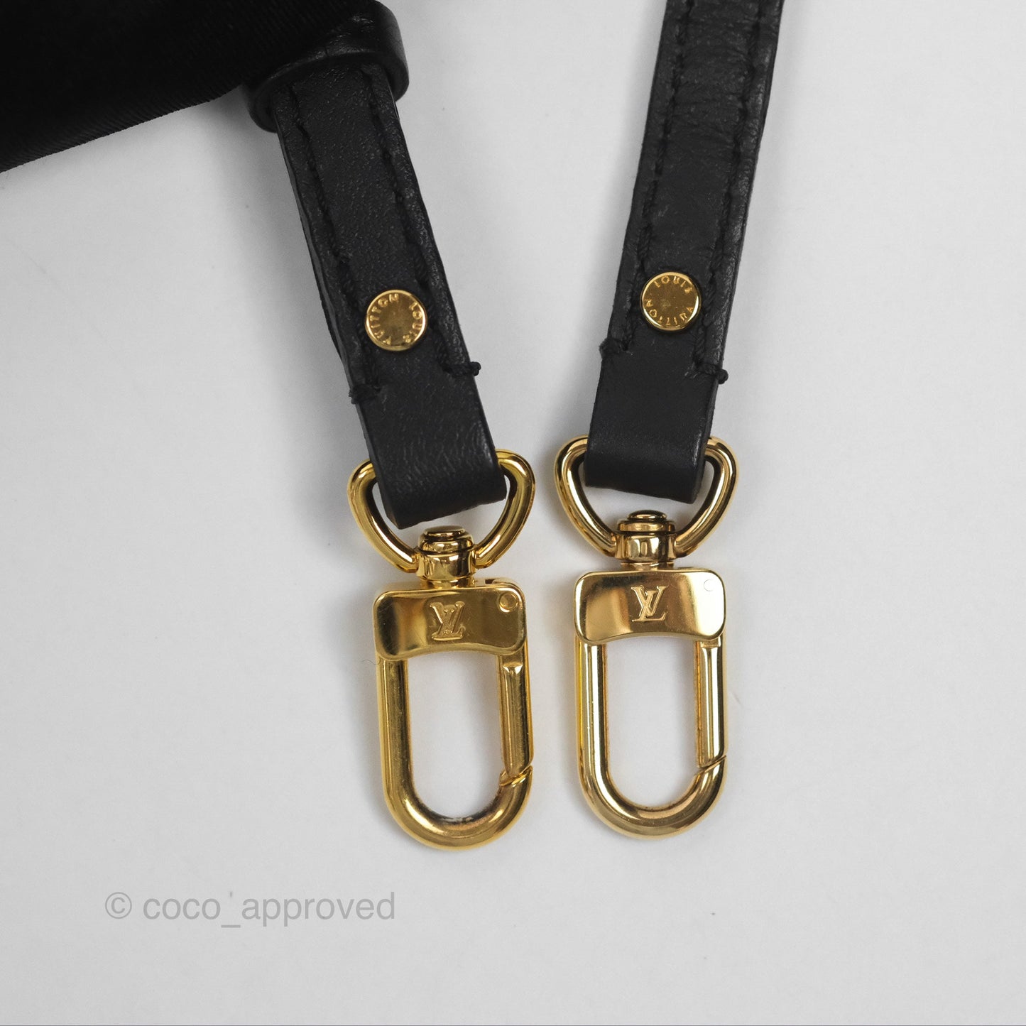 Louis Vuitton Monogram Mini Palm Springs Backpack⁣