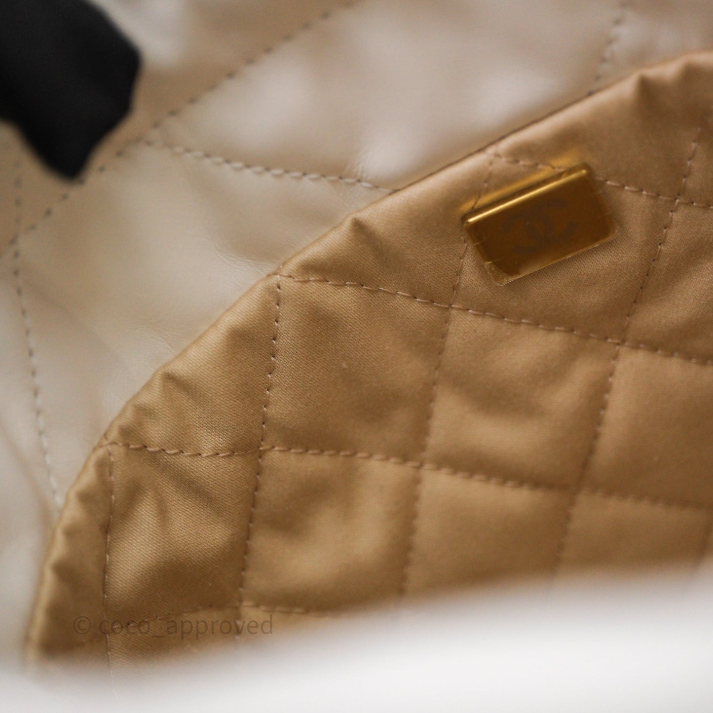 Chanel 22 Mini Bag White Shiny Crumpled Calfskin Aged Gold Hardware