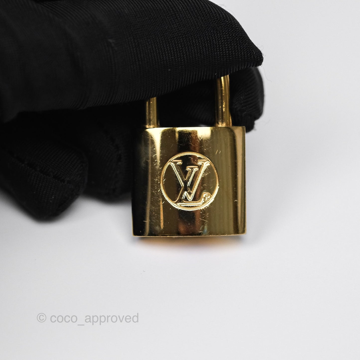 Louis Vuitton Reverse Monogram Vanity PM
