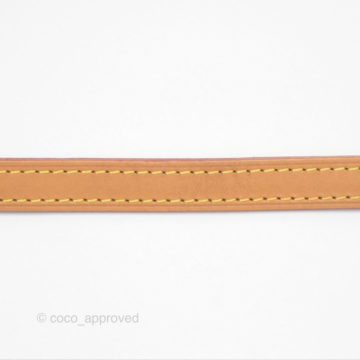 Louis Vuitton Nano Noe Monogram Canvas