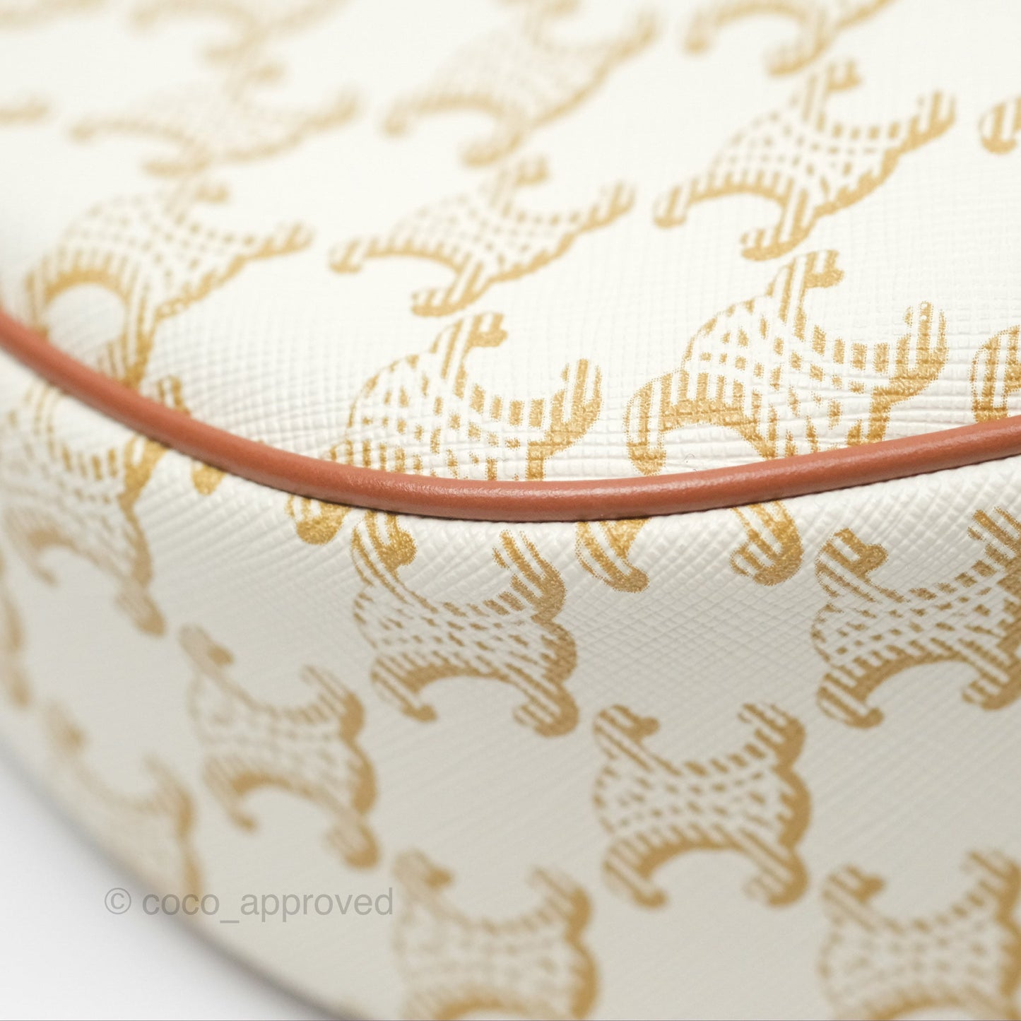 Celine Ava Bag In Triomphe Canvas Calfskin White