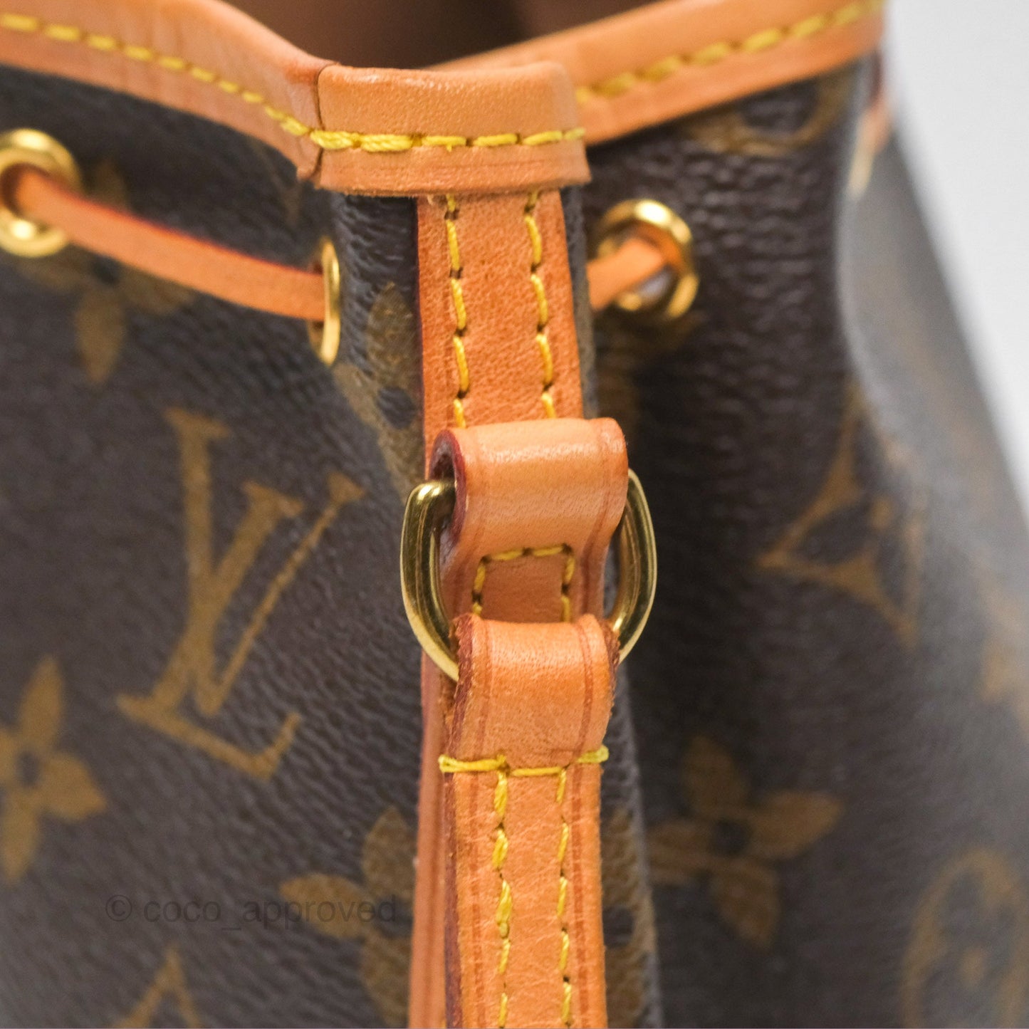 Louis Vuitton Nano Noe Monogram Canvas