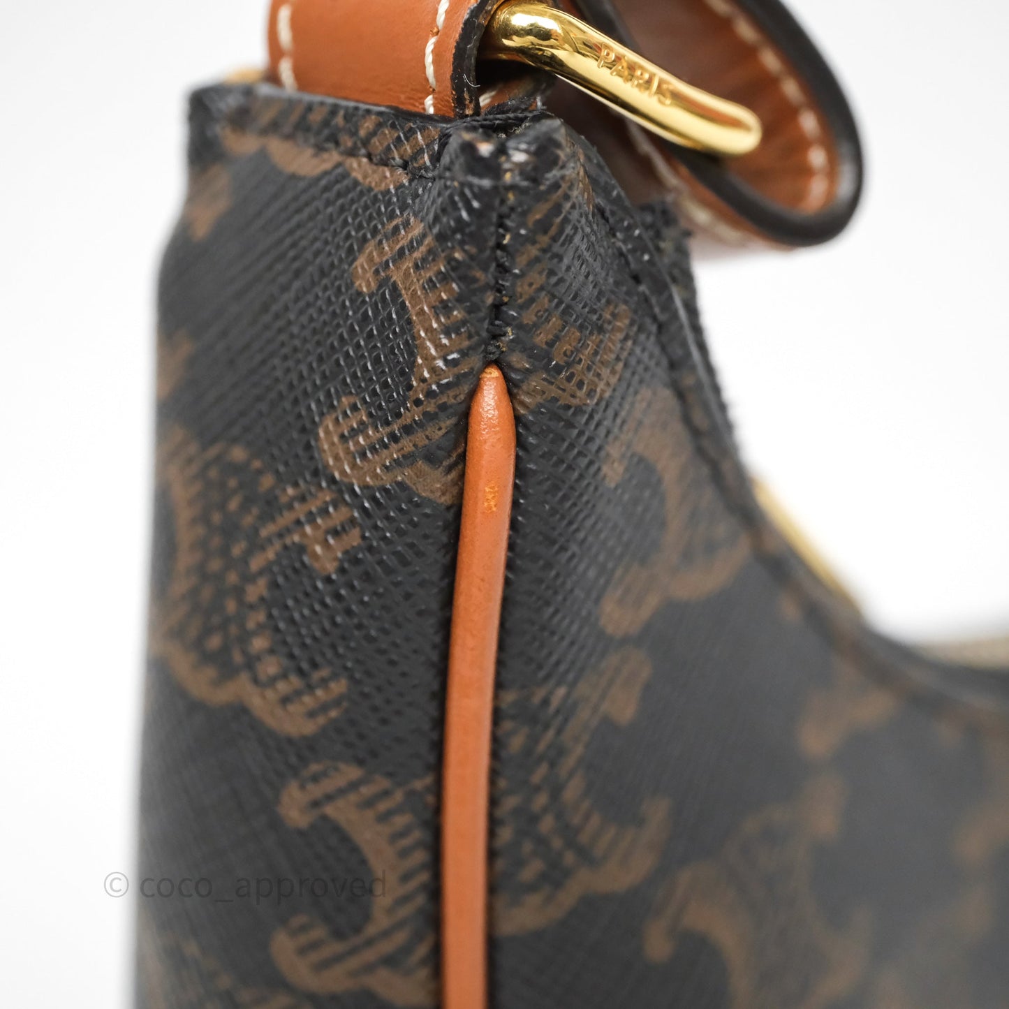 Celine Medium Ava Bag In Triomphe Canvas Calfskin Tan