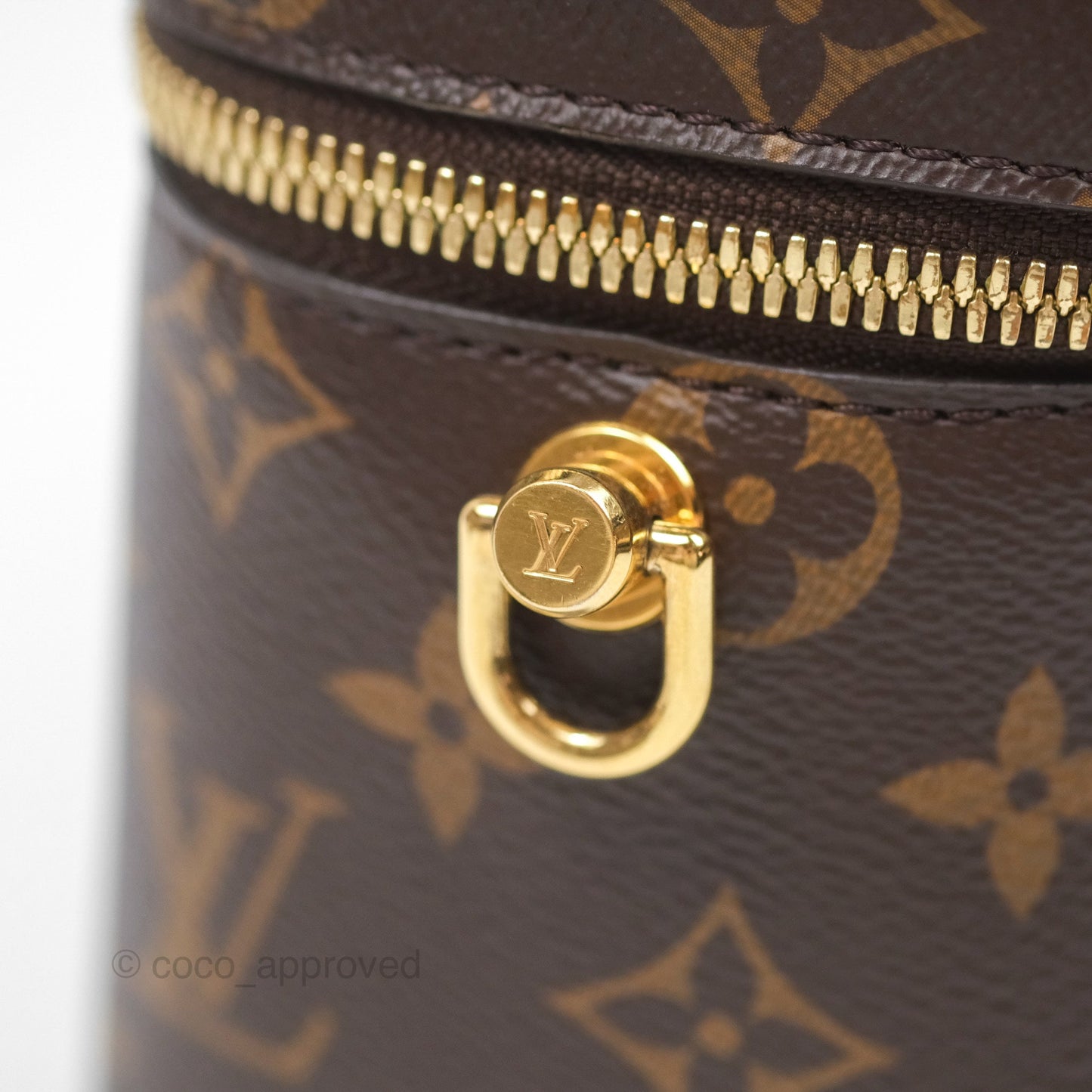 Louis Vuitton Reverse Monogram Vanity PM