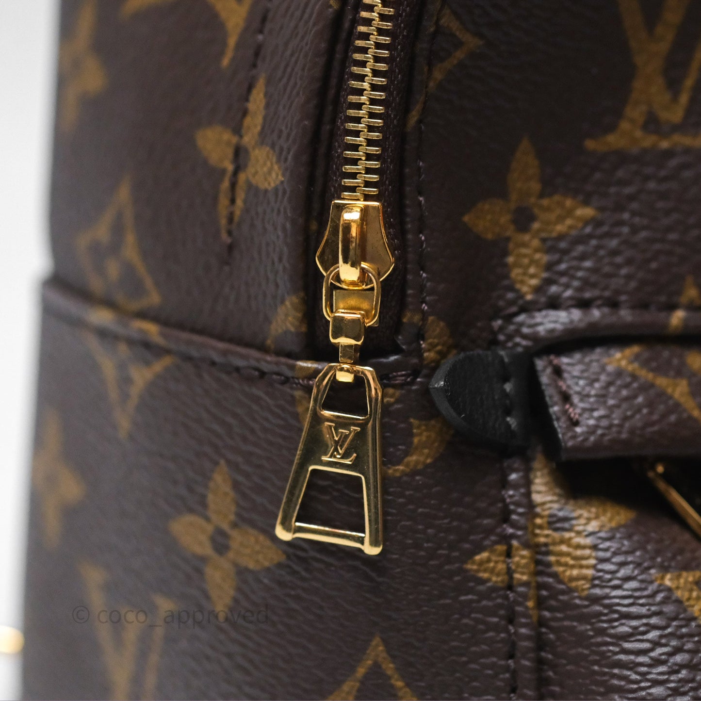 Louis Vuitton Mini Palm Springs Backpack⁣ Monogram