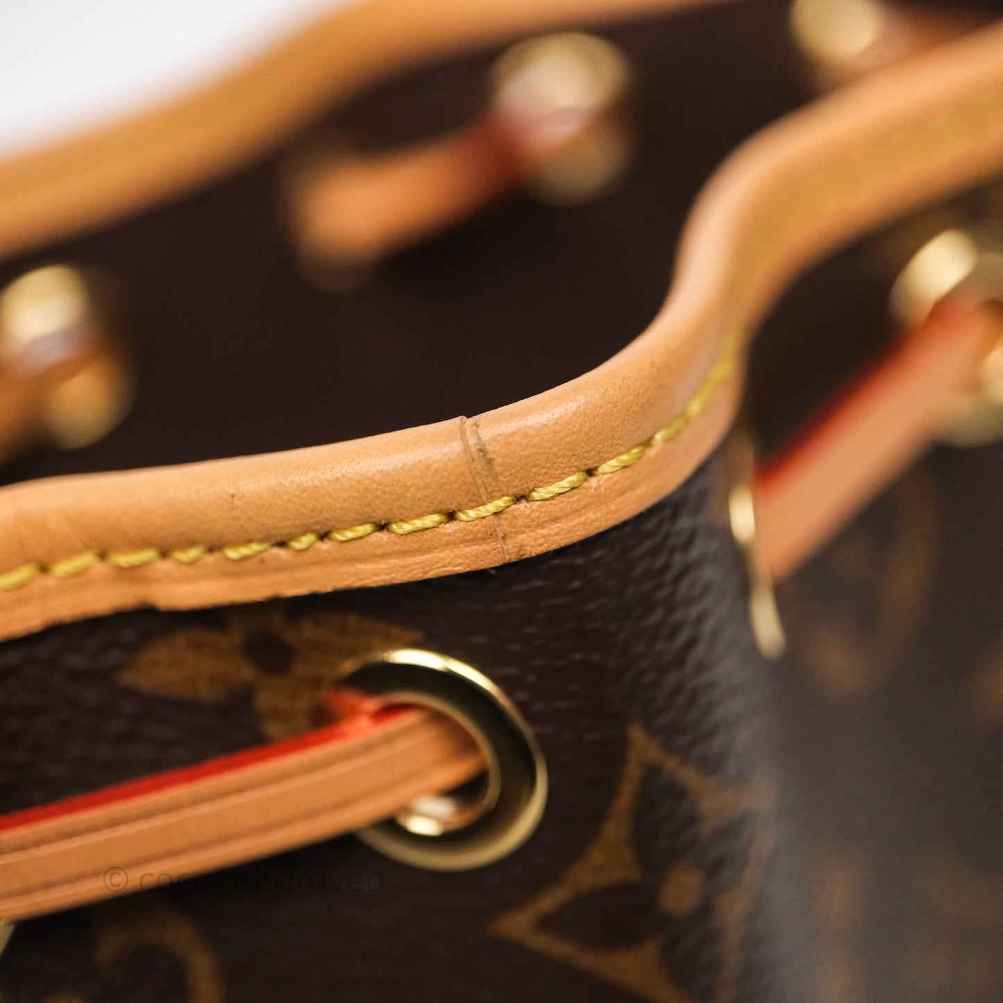 Louis Vuitton Nano Noe Monogram