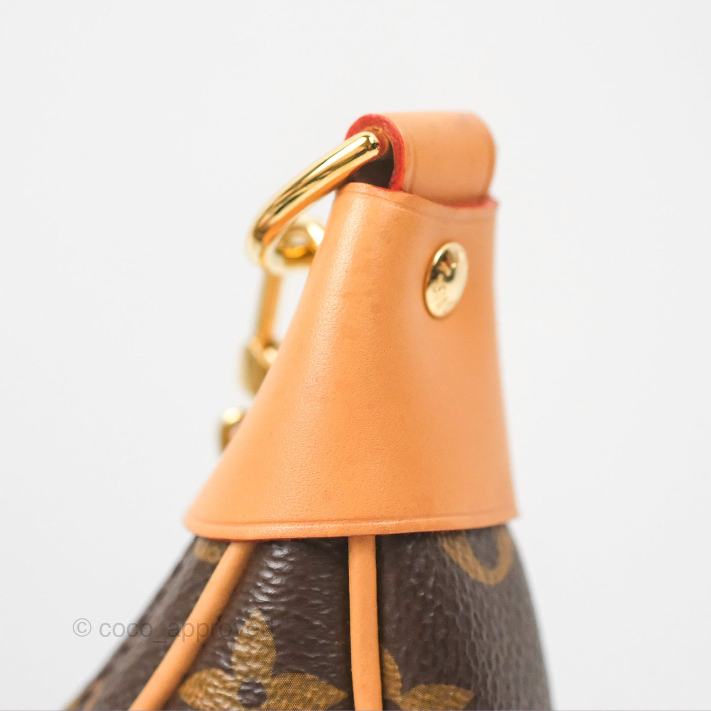 Louis Vuitton Loop Monogram Canvas
