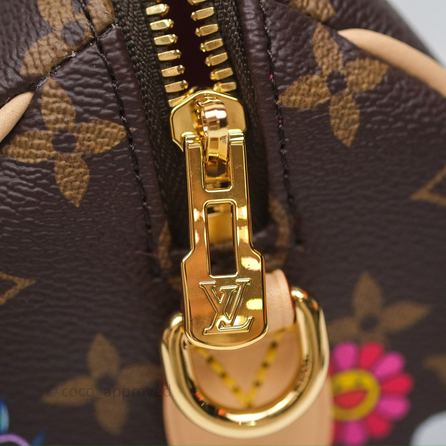 Louis Vuitton LV x Murakami Speedy Bandoulière 20 Monogram