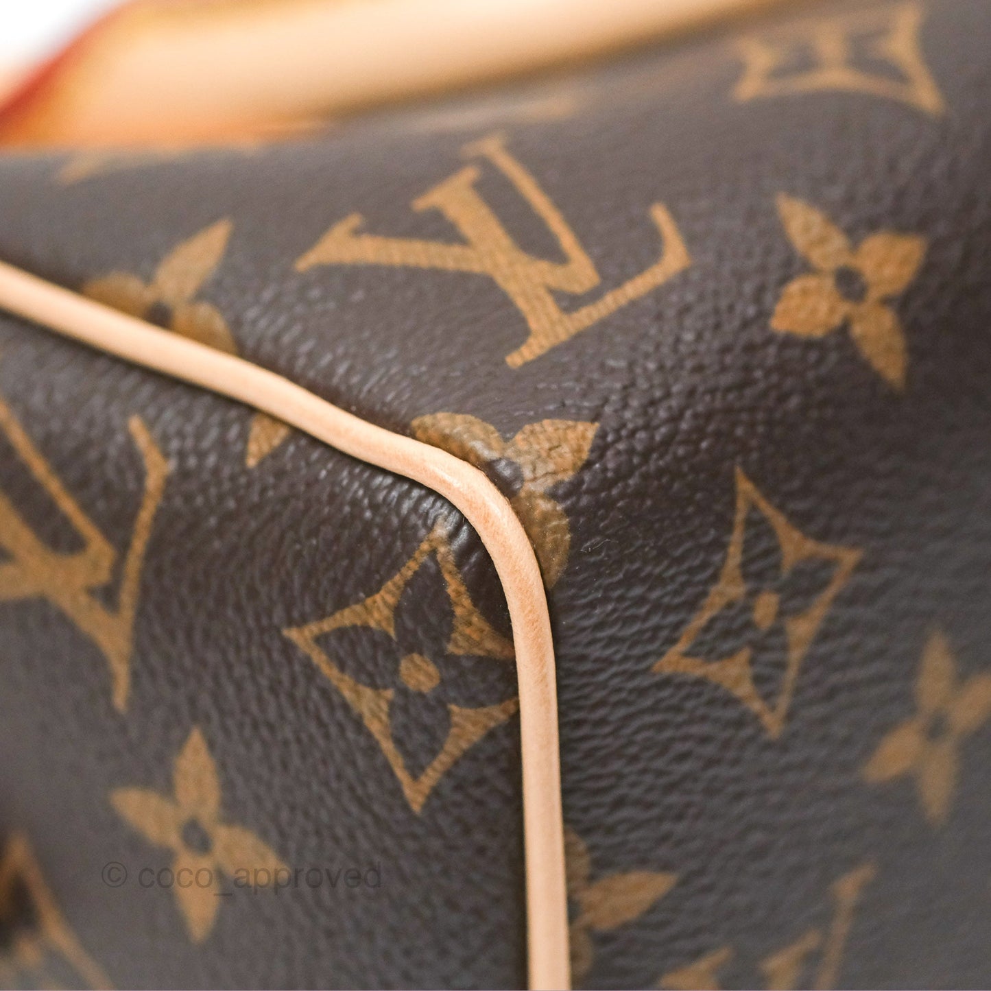 Louis Vuitton Speedy Bandoulière 20 Monogram