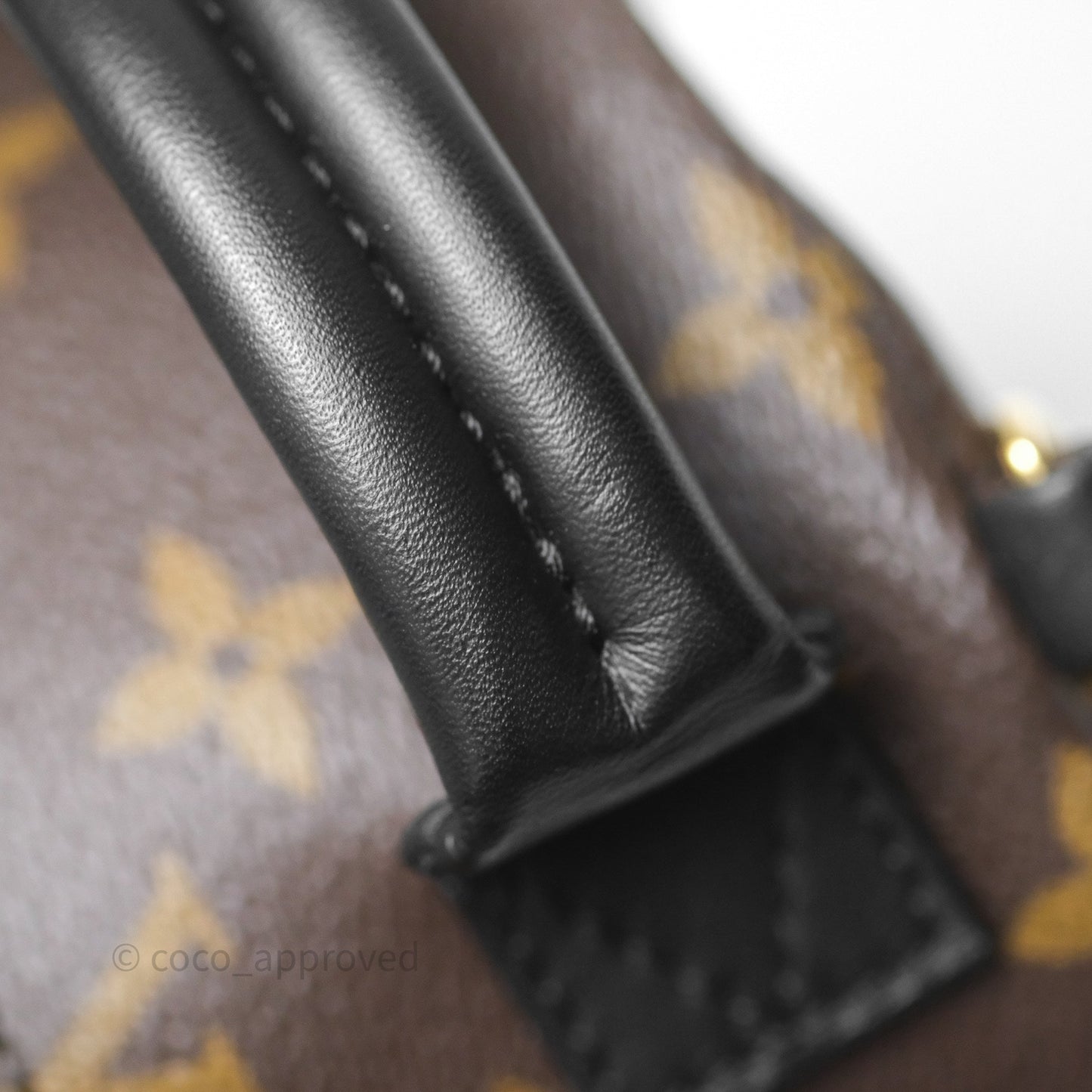 Louis Vuitton Mini Palm Springs Backpack⁣ Monogram