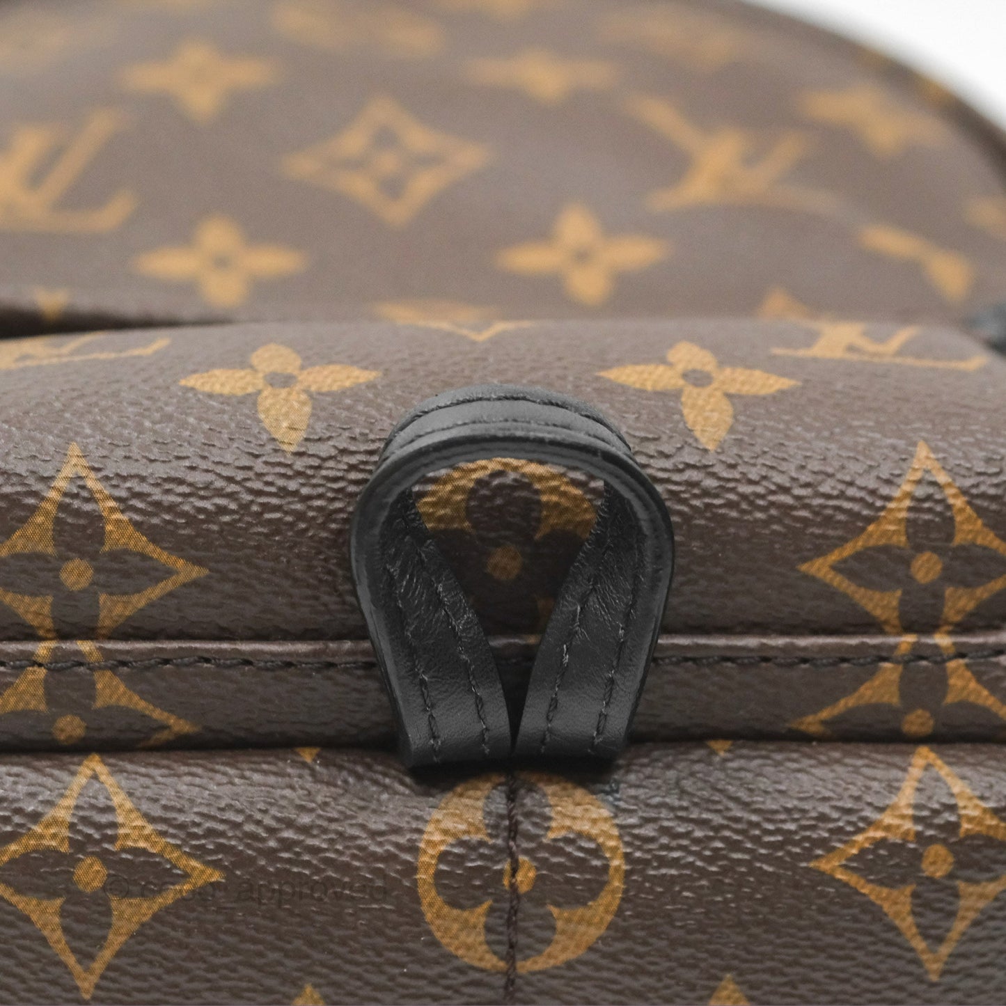 Louis Vuitton Mini Palm Springs Backpack⁣ Monogram Canvas