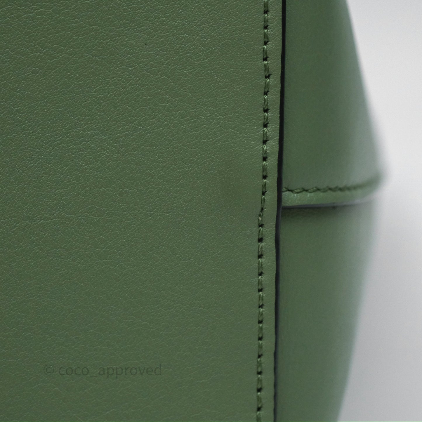 Loewe Small Anagram Tote In Rosemary Green Calfskin