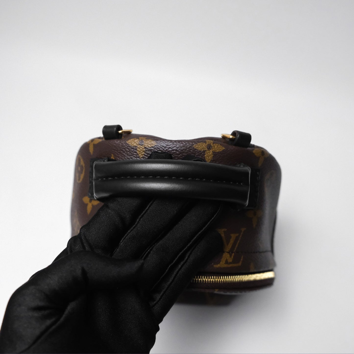 Louis Vuitton Mini Palm Springs Backpack⁣ Monogram