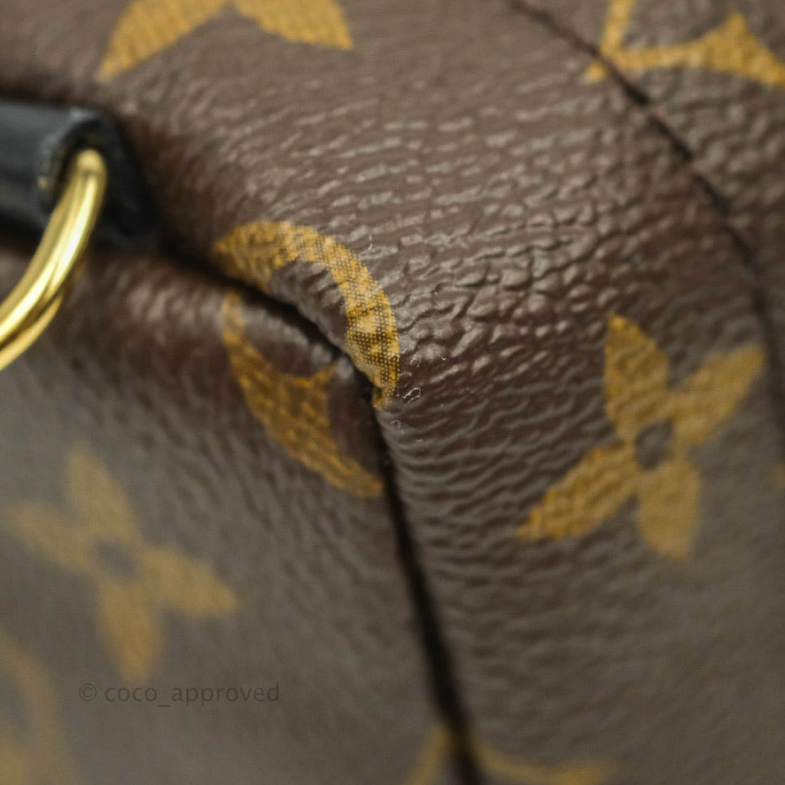 Louis Vuitton Mini Palm Springs Monogram Canvas Backpack⁣