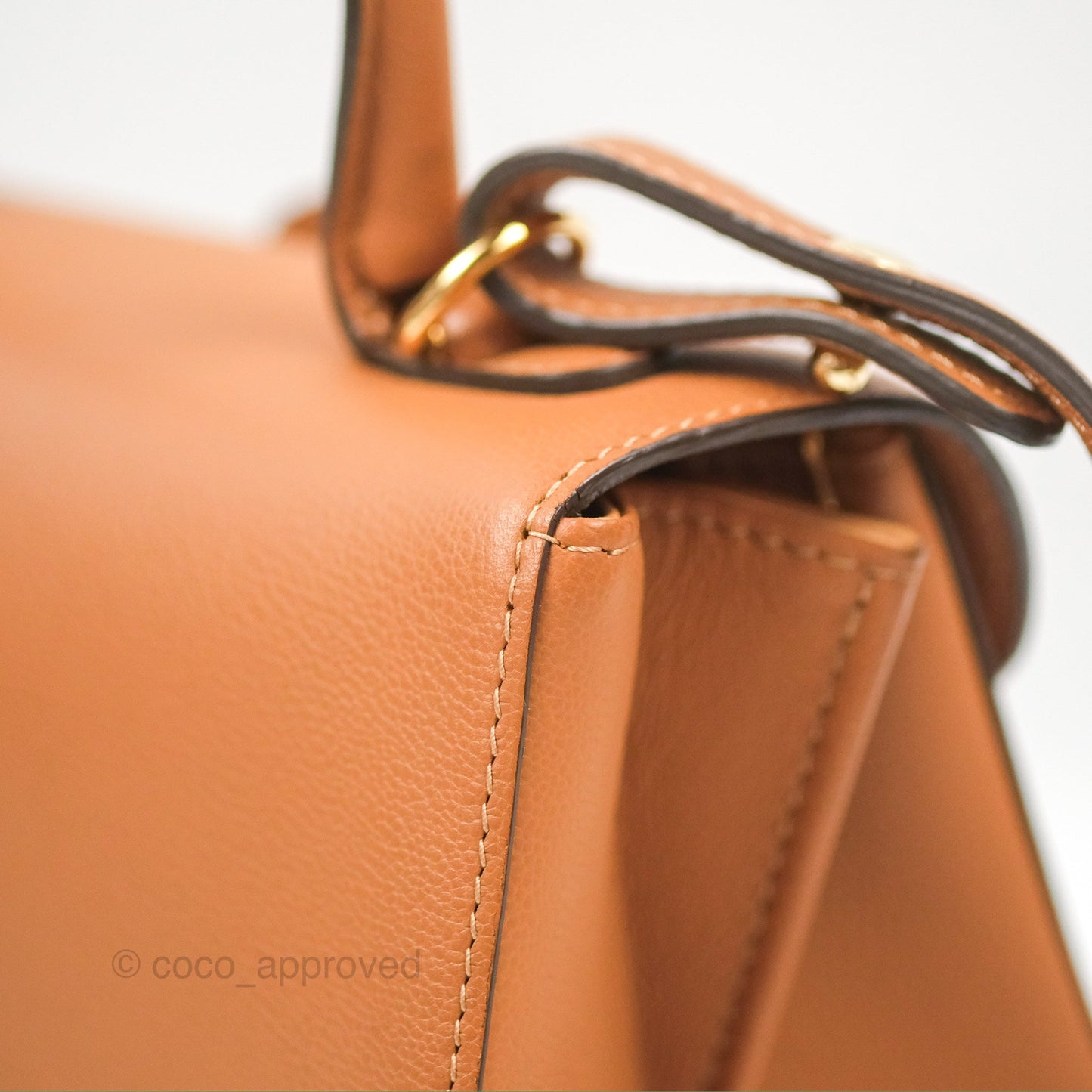 Delvaux Mini Brillant Bag Vegetal Rodeo Calf Gold Hardware