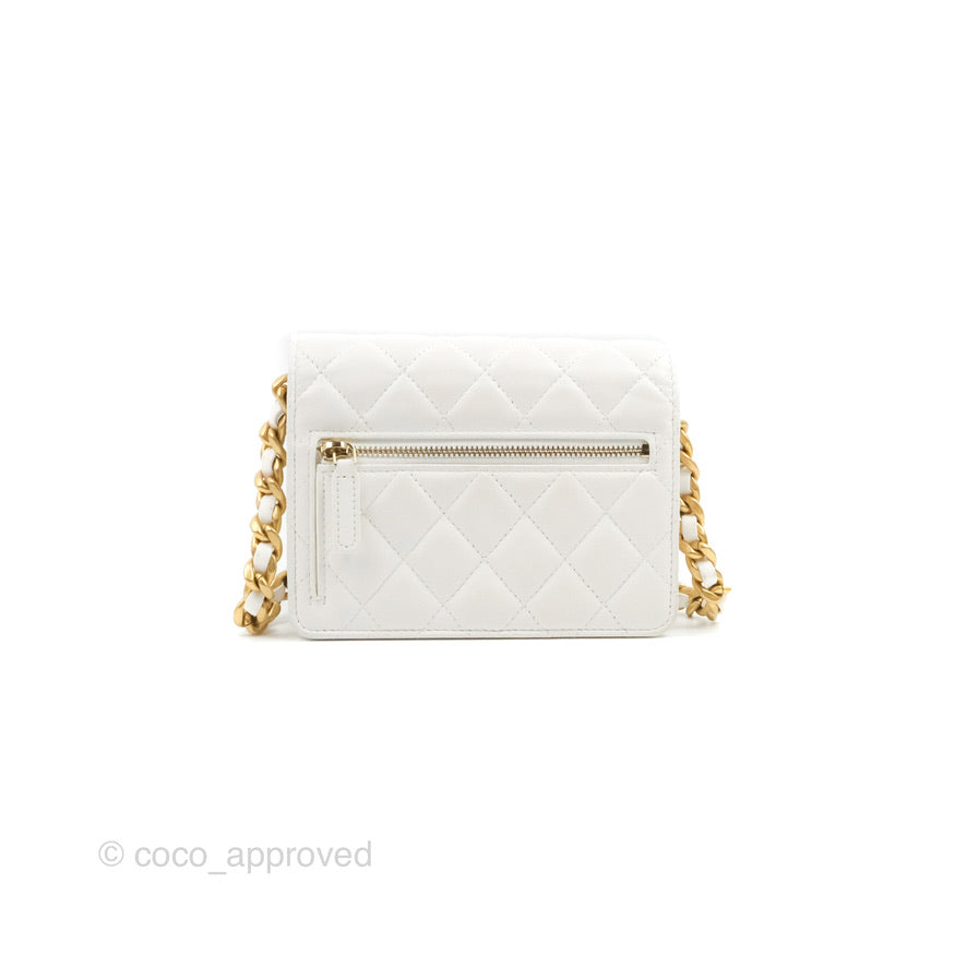 Chanel Mini Resin Chain Wallet on Chain WOC White Lambskin Gold Hardware
