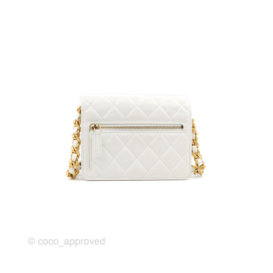 Chanel Mini Resin Chain Wallet on Chain WOC White Lambskin Gold Hardware