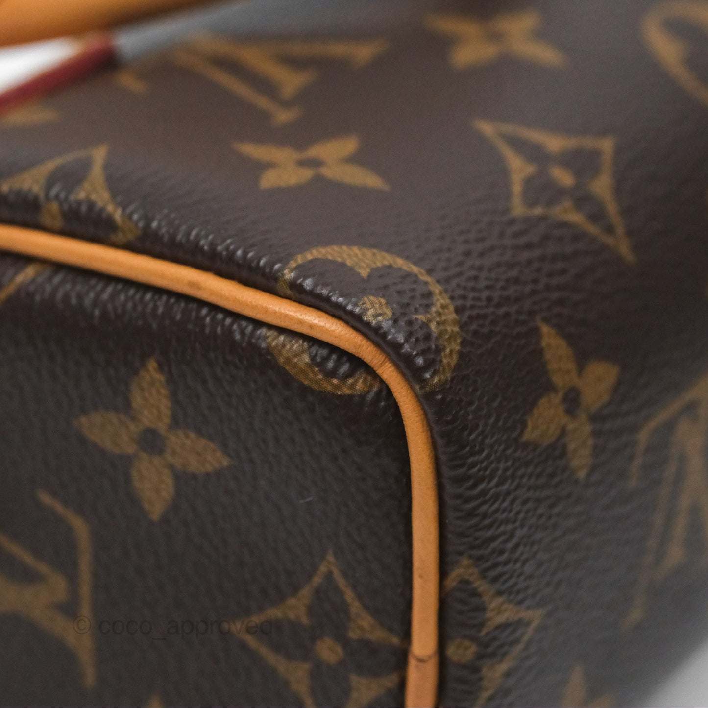 Louis Vuitton Nano Speedy Monogram