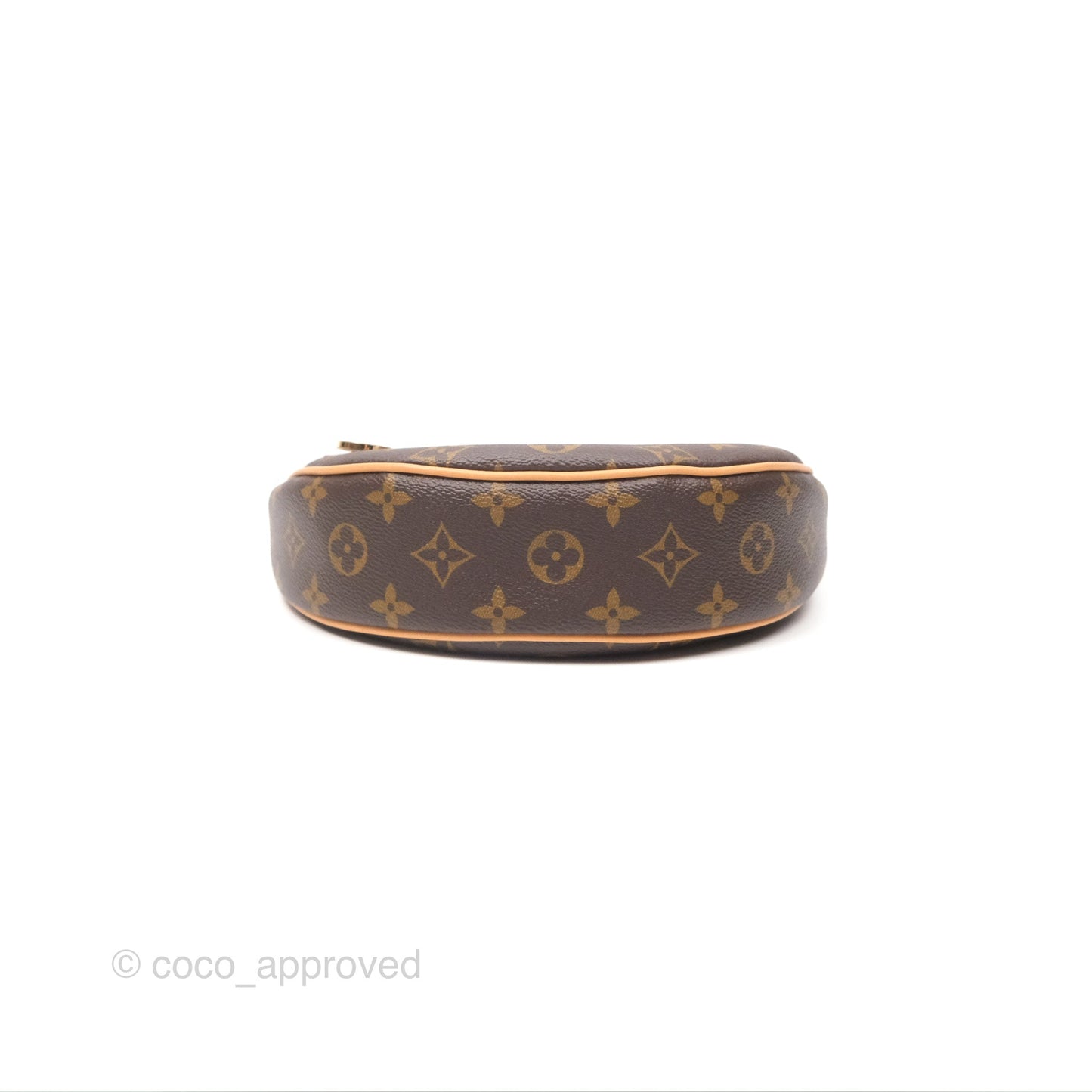 Louis Vuitton Loop Monogram Canvas