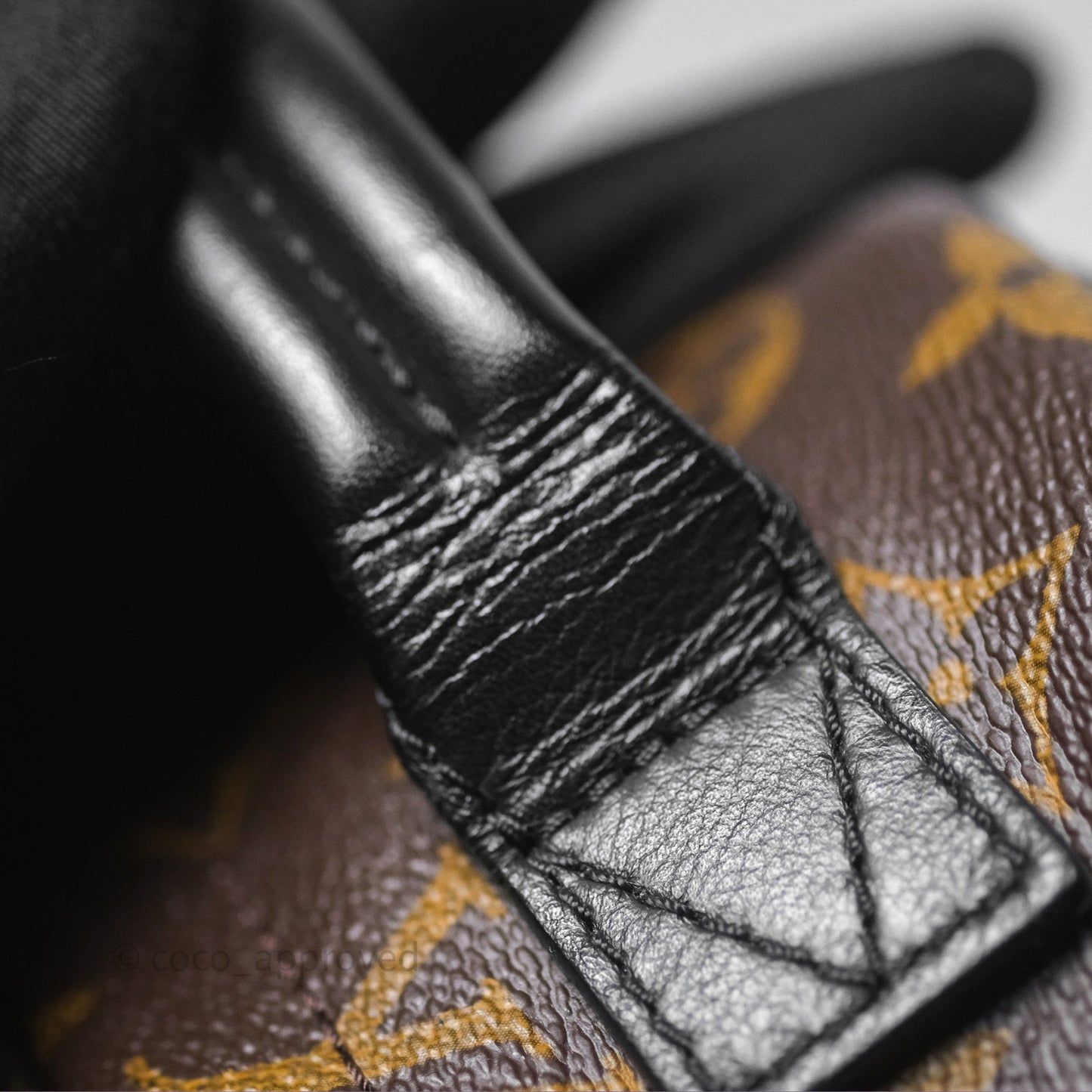 Louis Vuitton Monogram Mini Palm Springs Backpack⁣