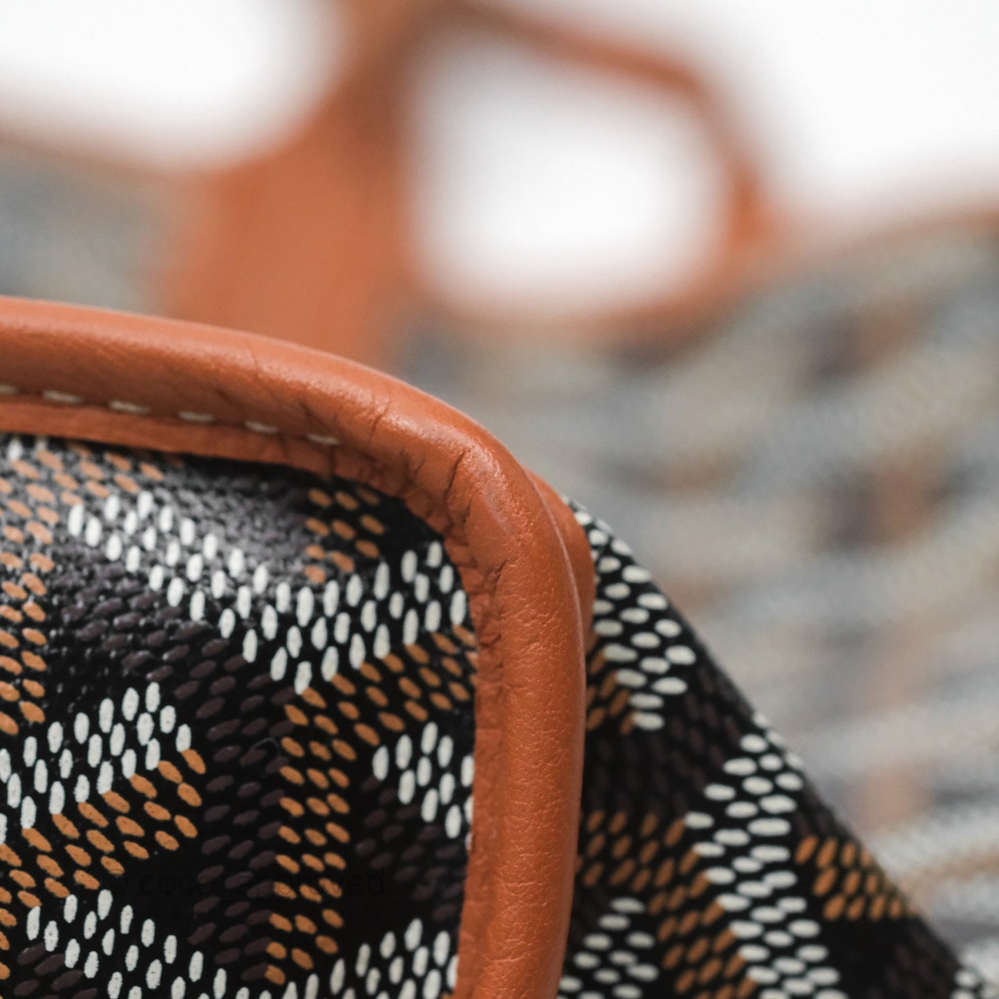 Goyard Anjou Mini Bag Goyardine Canvas Black/ Tan