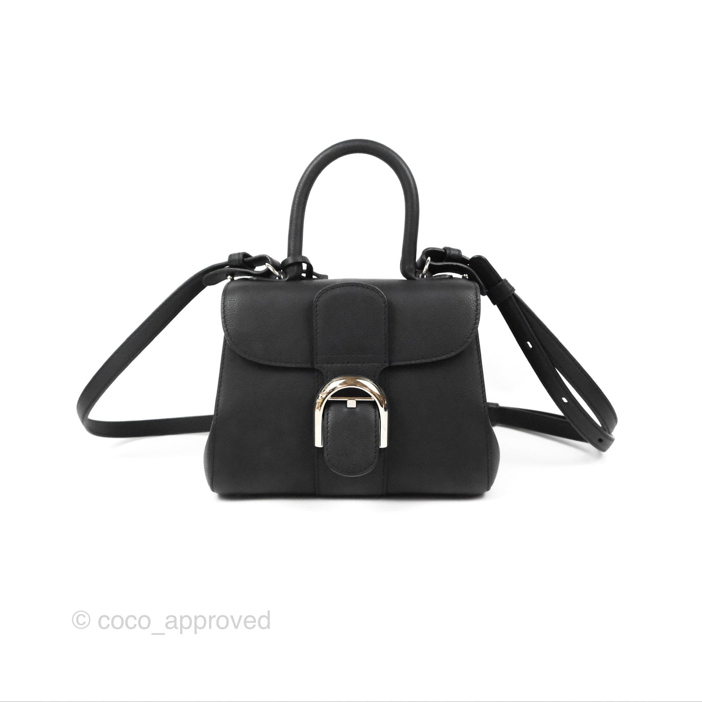 Delvaux Mini Brillant Bag Vegetal Rodeo Black Calf Silver Hardware