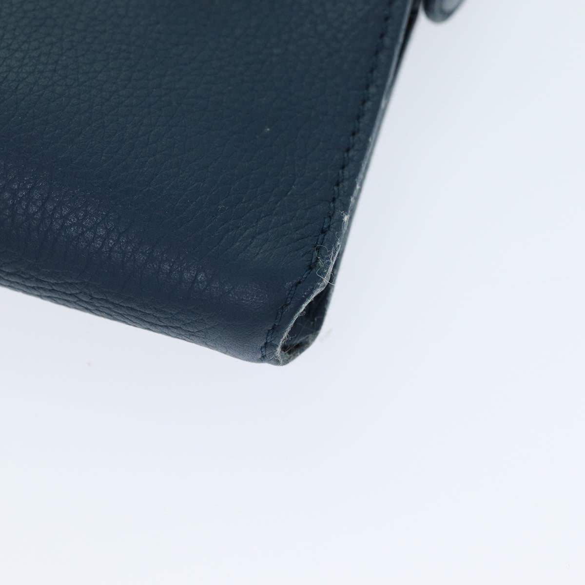 LOUIS VUITTON Pouch Taurillon Leather Navy Orage R99587 LV 74597