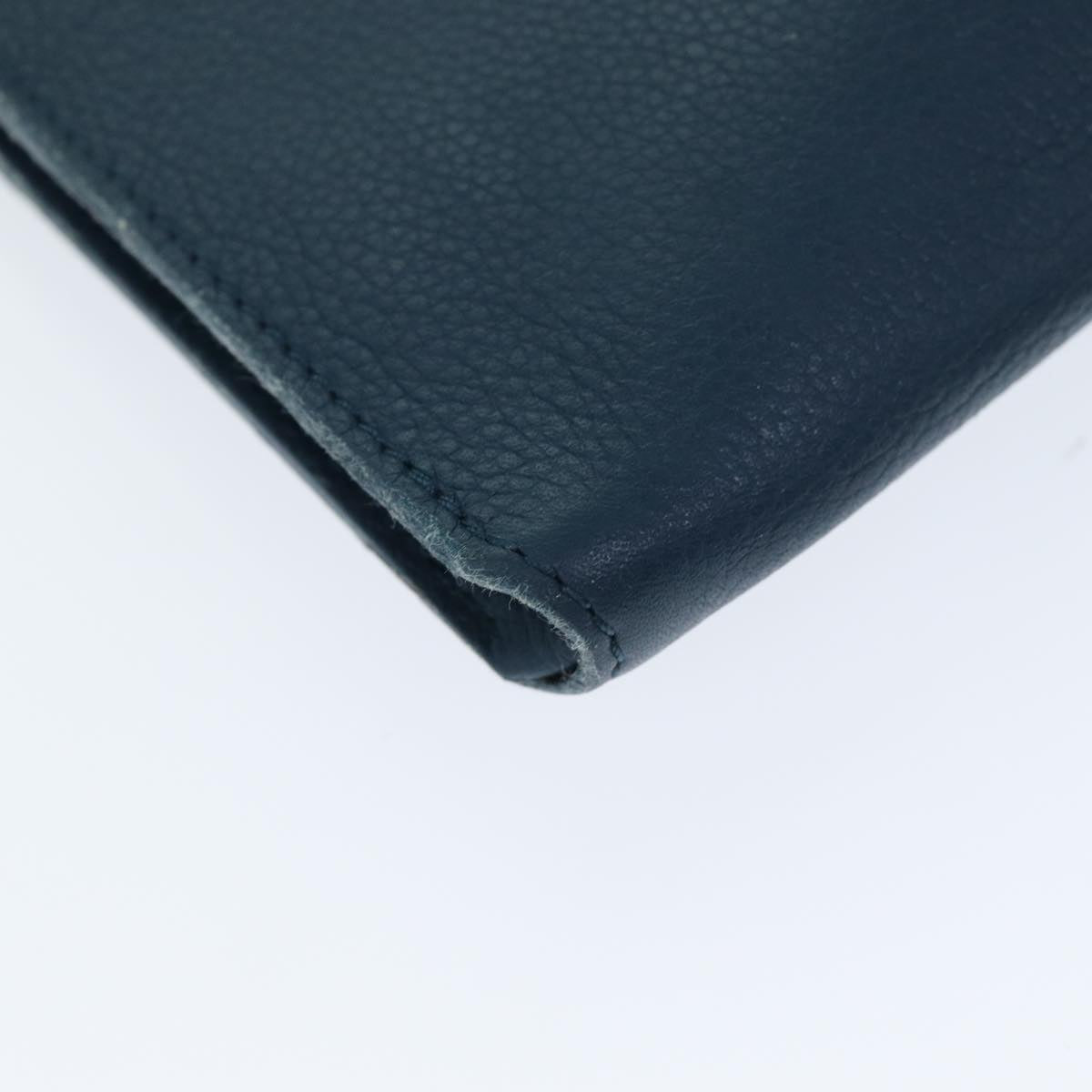 LOUIS VUITTON Pouch Taurillon Leather Navy Orage R99587 LV 74597