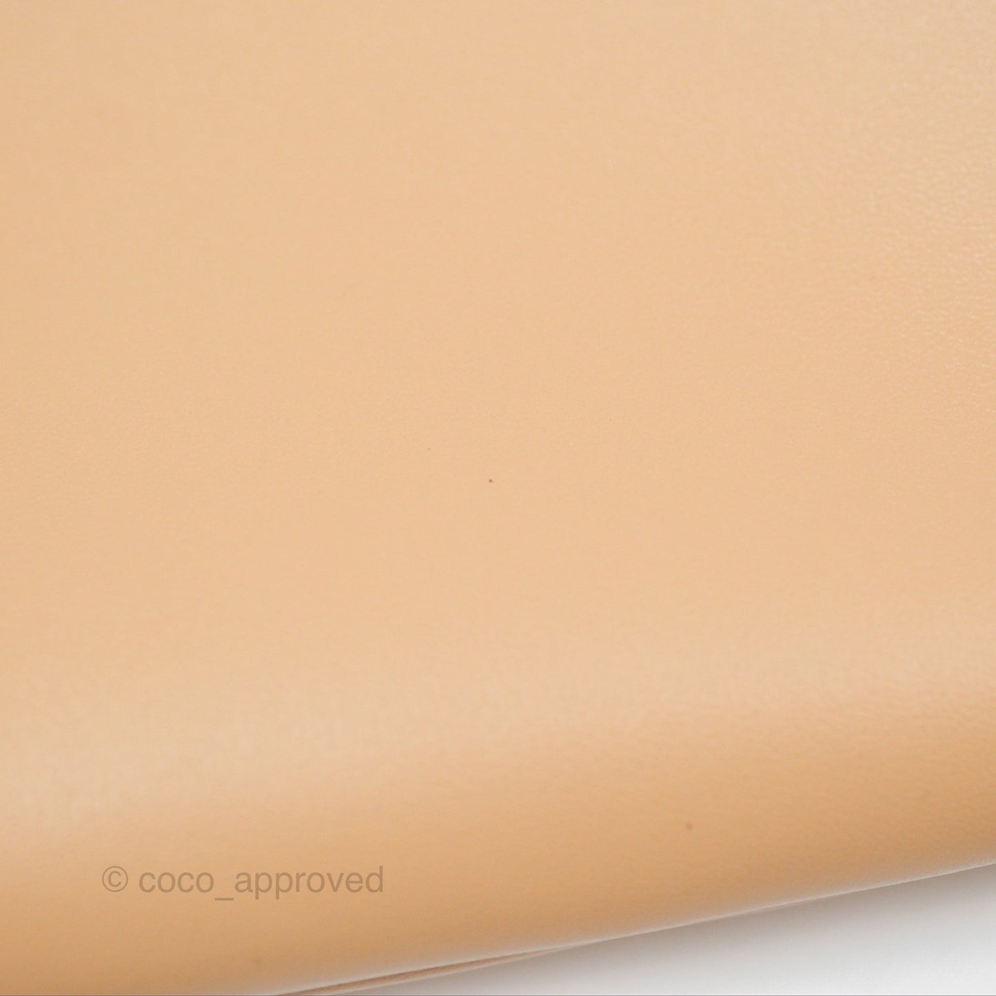 Miu Miu Ivy Leather Bag Beige