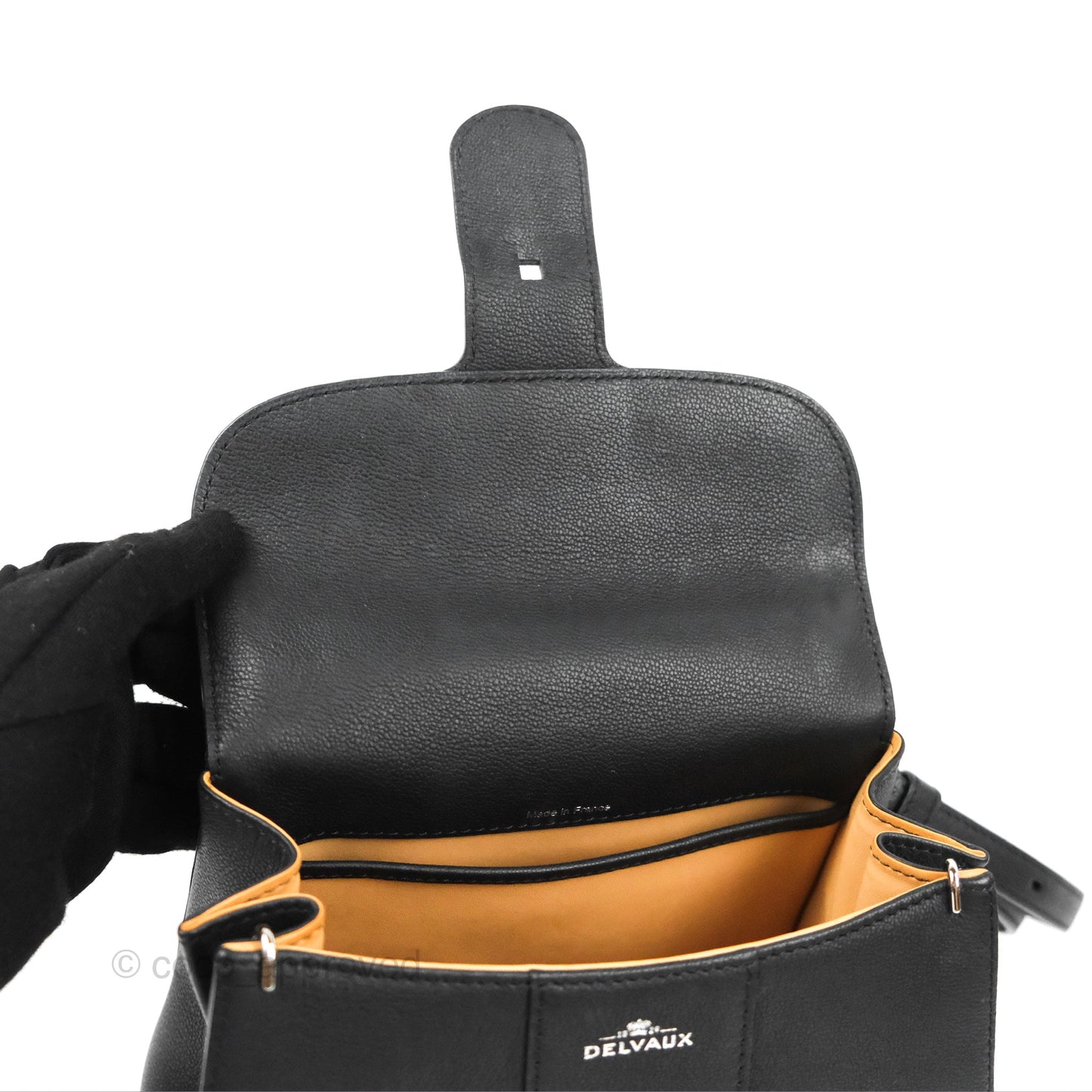 Delvaux Mini Brillant Bag Vegetal Rodeo Black Calf Silver Hardware