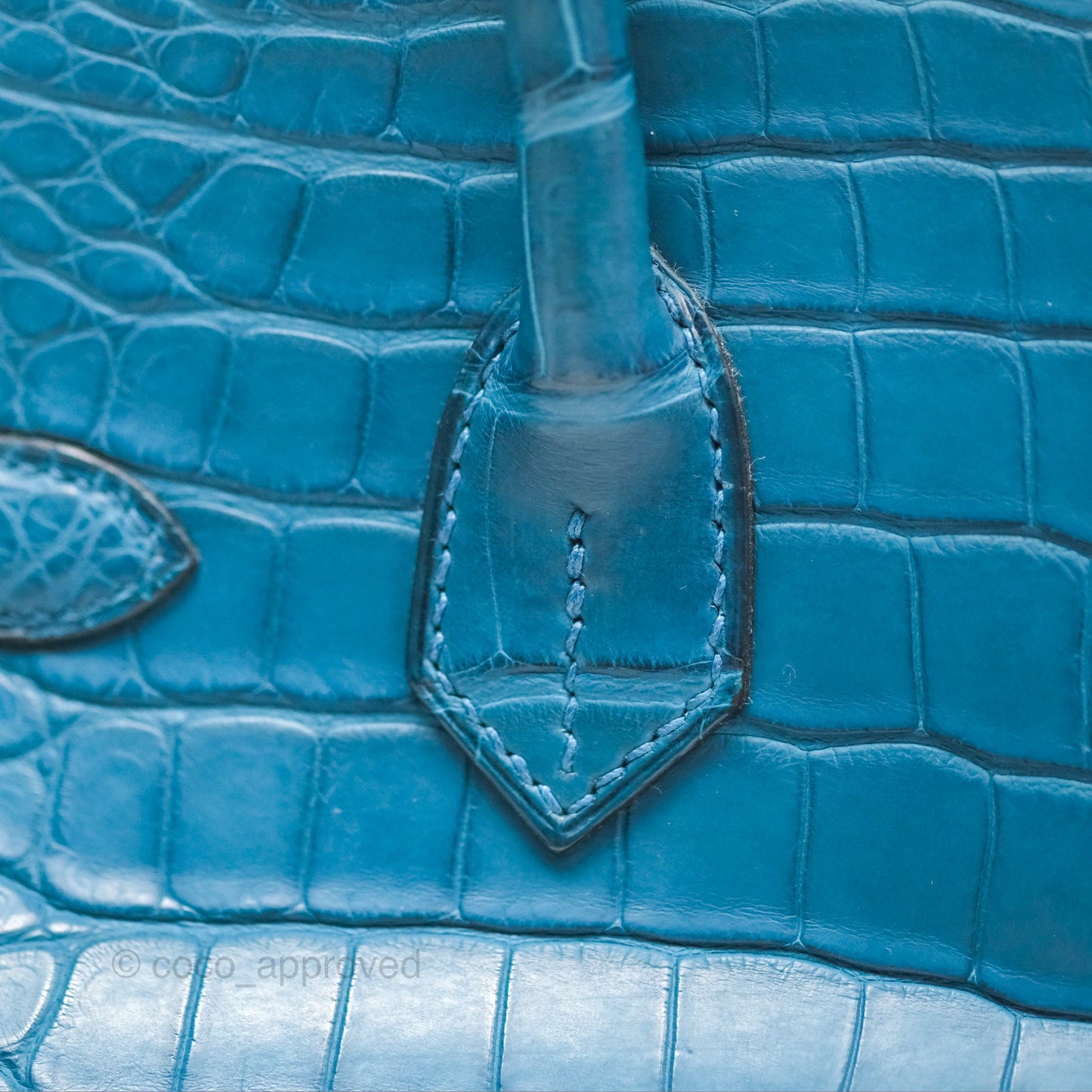 Hermès Birkin 30 Retourne Colvert Matte Niloticus Crocodile Palladium Hardware