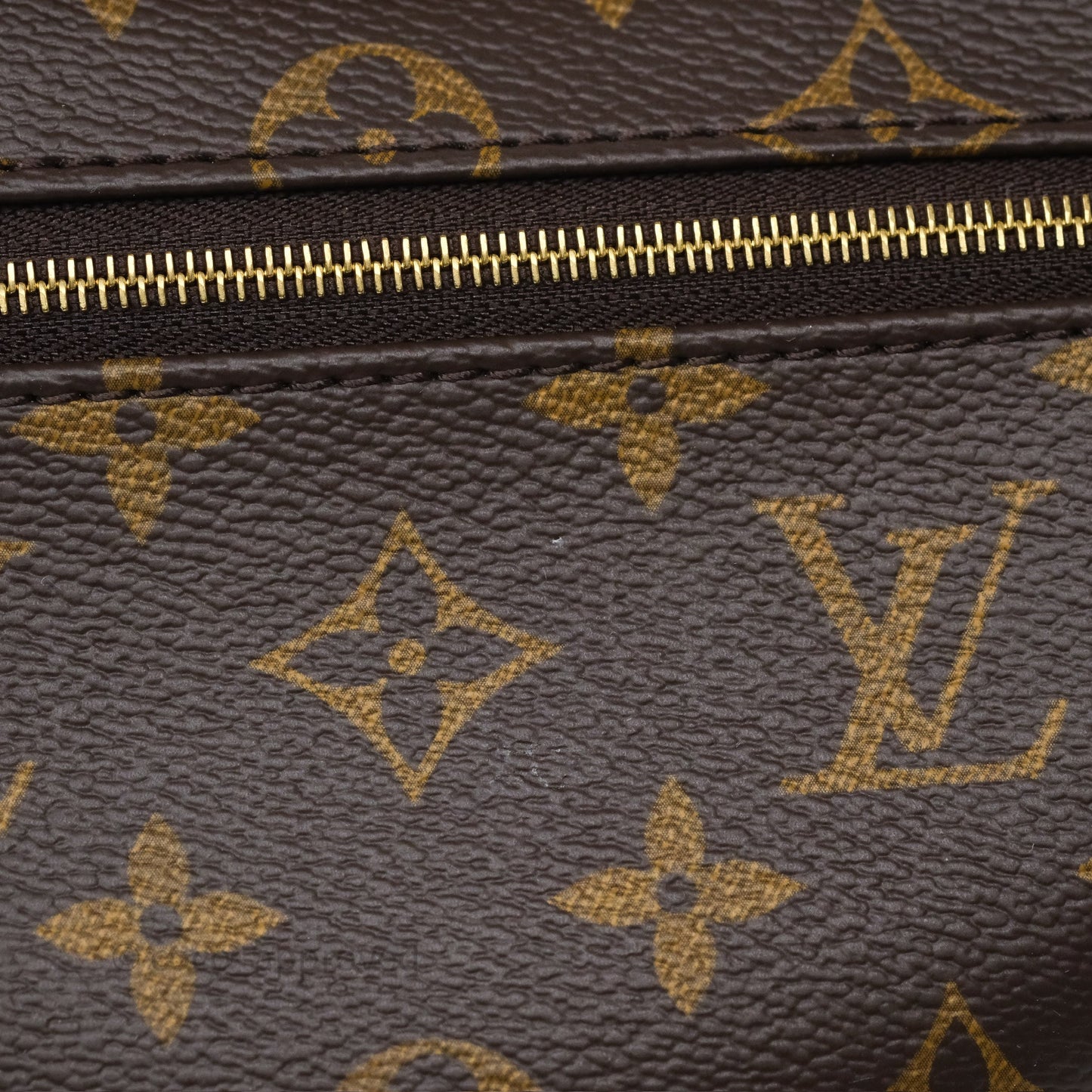 Louis Vuitton Loop Monogram Canvas