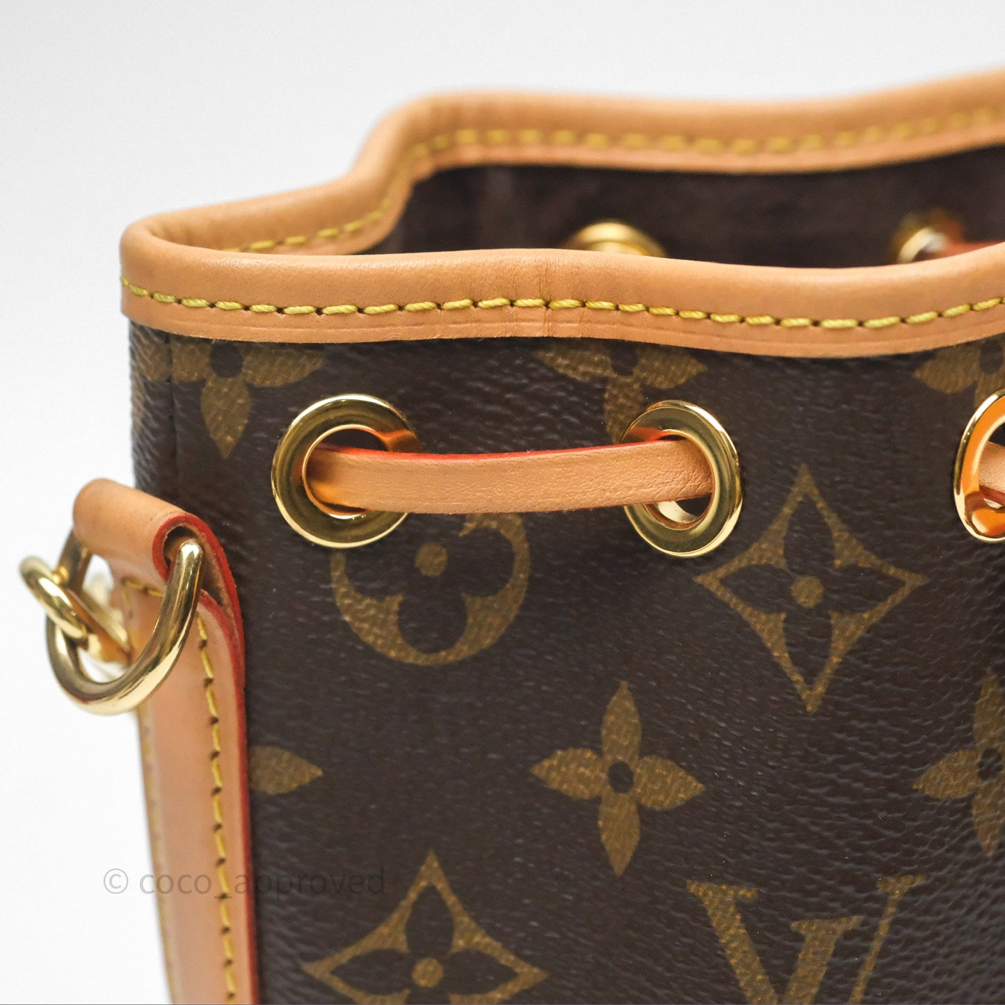 Louis Vuitton Nano Noe Monogram